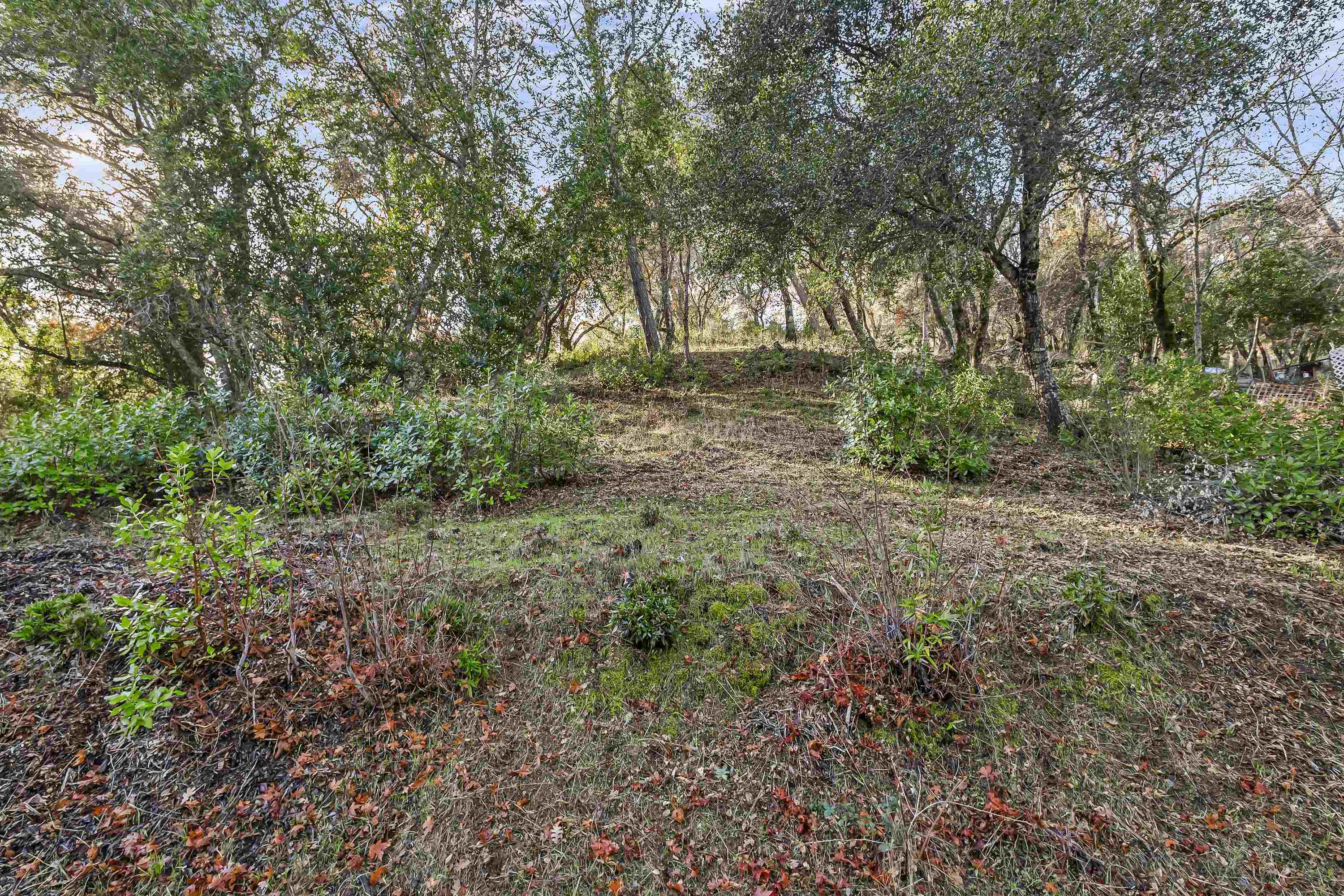 Detail Gallery Image 39 of 39 For 78 Circle Oaks Drive, Napa,  CA 94558 - – Beds | – Baths