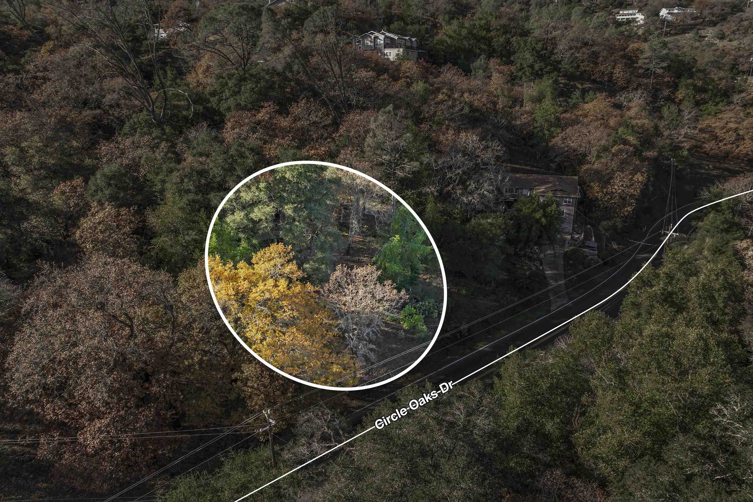 Detail Gallery Image 8 of 39 For 78 Circle Oaks Drive, Napa,  CA 94558 - – Beds | – Baths