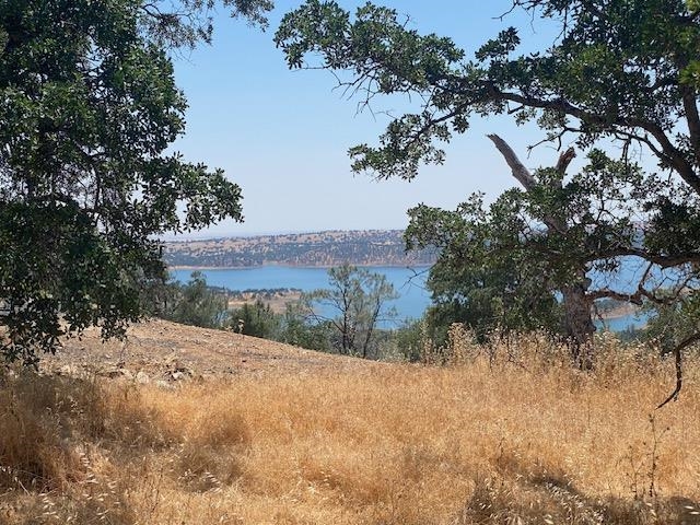 Detail Gallery Image 2 of 13 For 00000 Arbolada Dr, La Grange,  CA 95329 - – Beds | – Baths