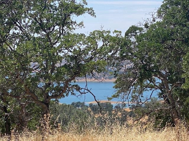 Detail Gallery Image 3 of 13 For 00000 Arbolada Dr, La Grange,  CA 95329 - – Beds | – Baths