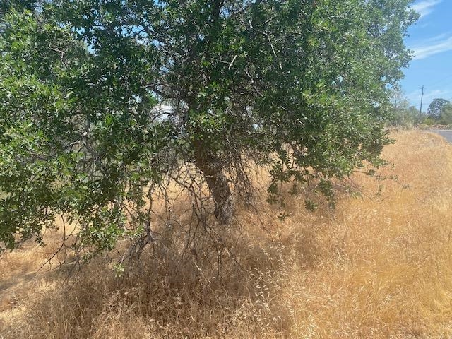 Detail Gallery Image 9 of 13 For 00000 Arbolada Dr, La Grange,  CA 95329 - – Beds | – Baths