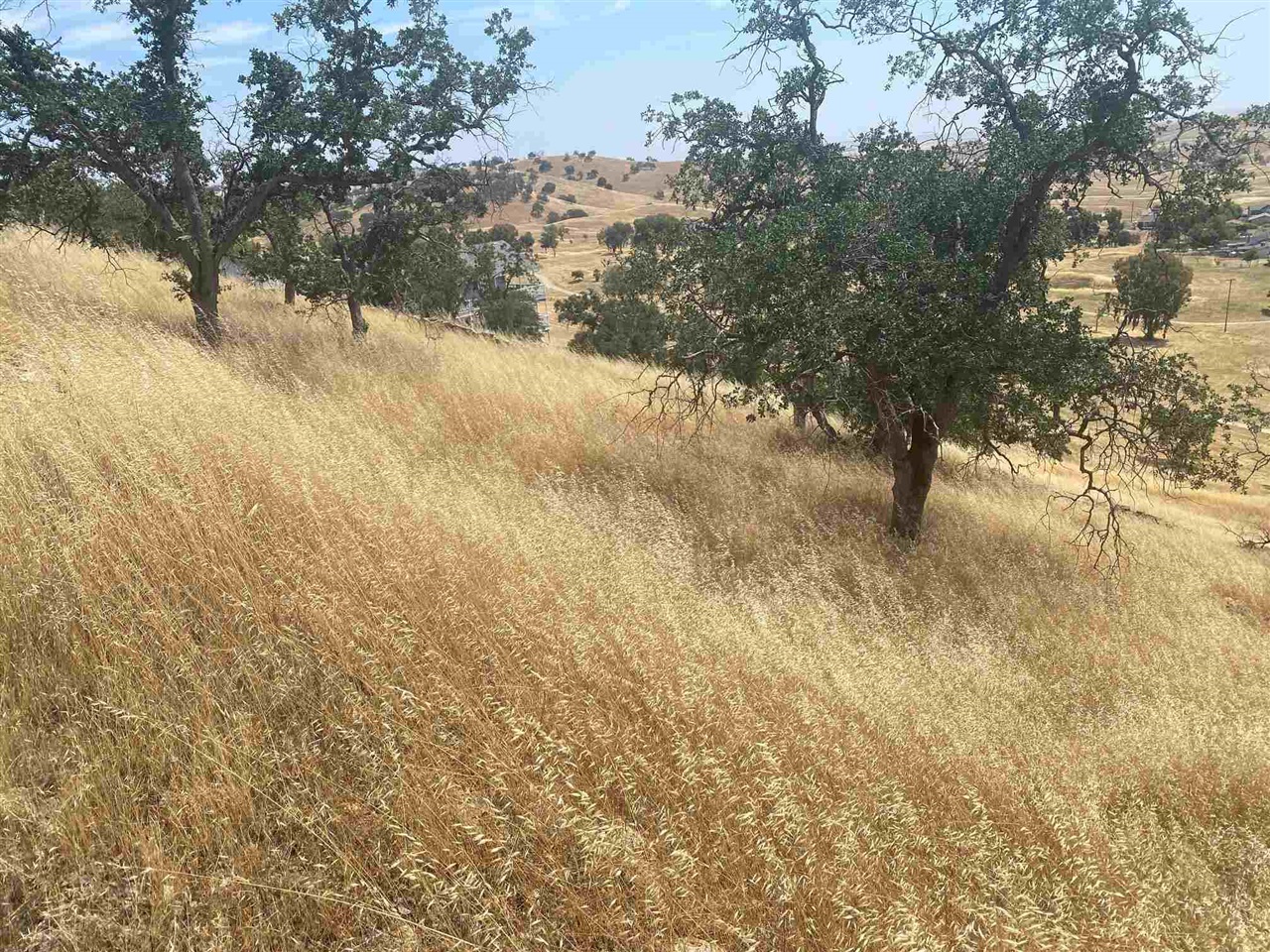 Front Image Thumbnail for EB41120042