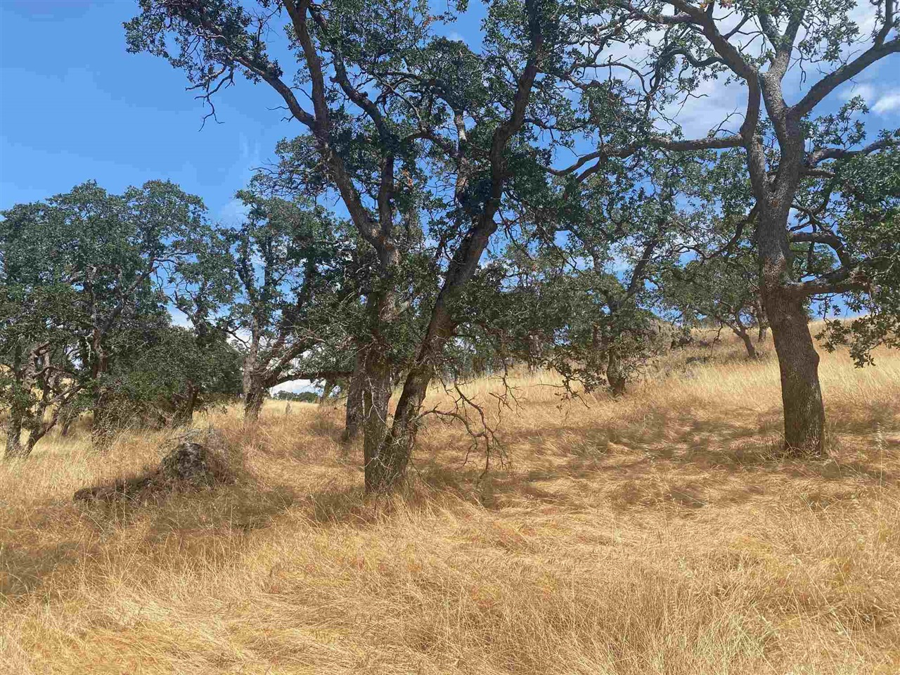 Detail Gallery Image 3 of 10 For 9796 Caracol Circle, La Grange,  CA 95329 - – Beds | – Baths