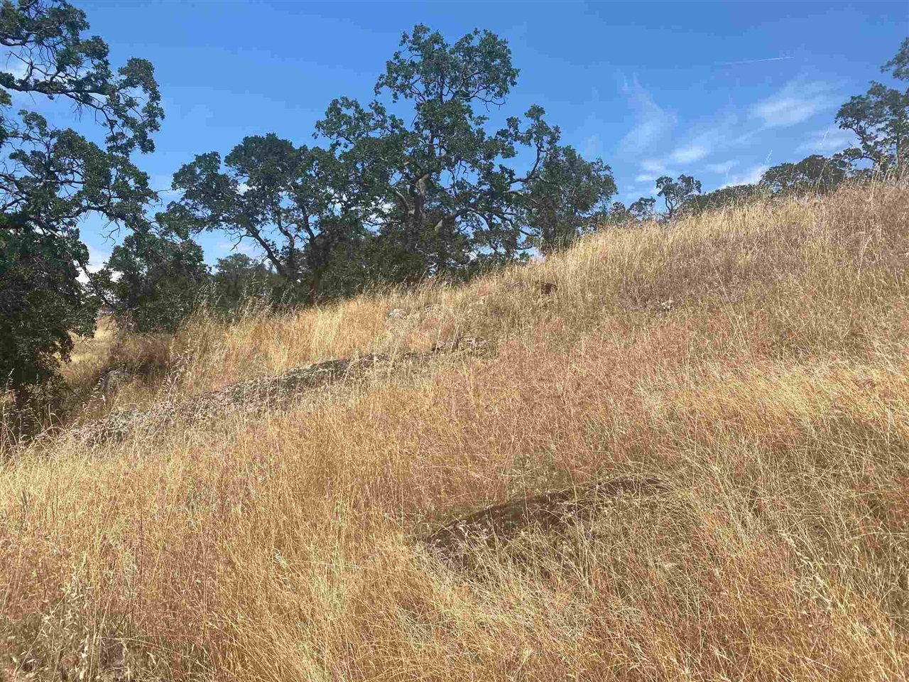 Detail Gallery Image 5 of 10 For 9796 Caracol Circle, La Grange,  CA 95329 - – Beds | – Baths