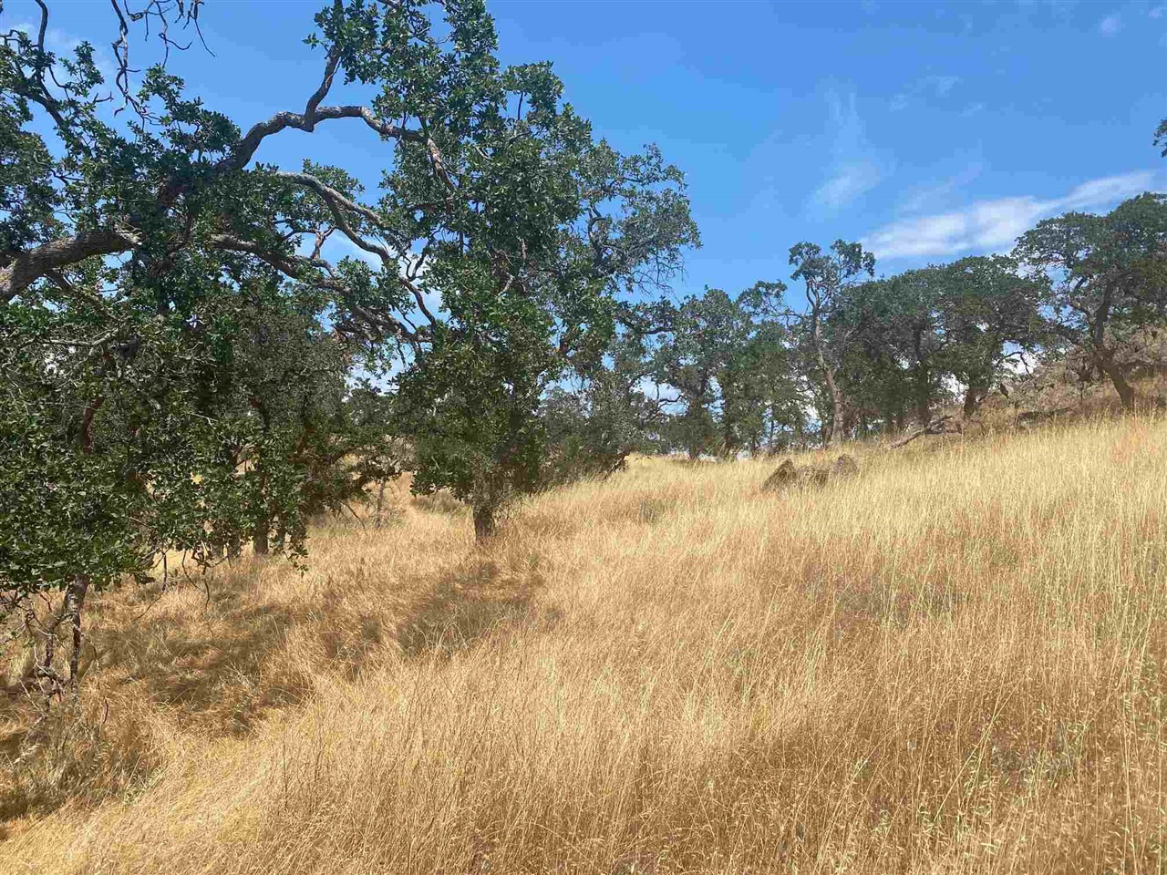 Detail Gallery Image 7 of 10 For 9796 Caracol Circle, La Grange,  CA 95329 - – Beds | – Baths