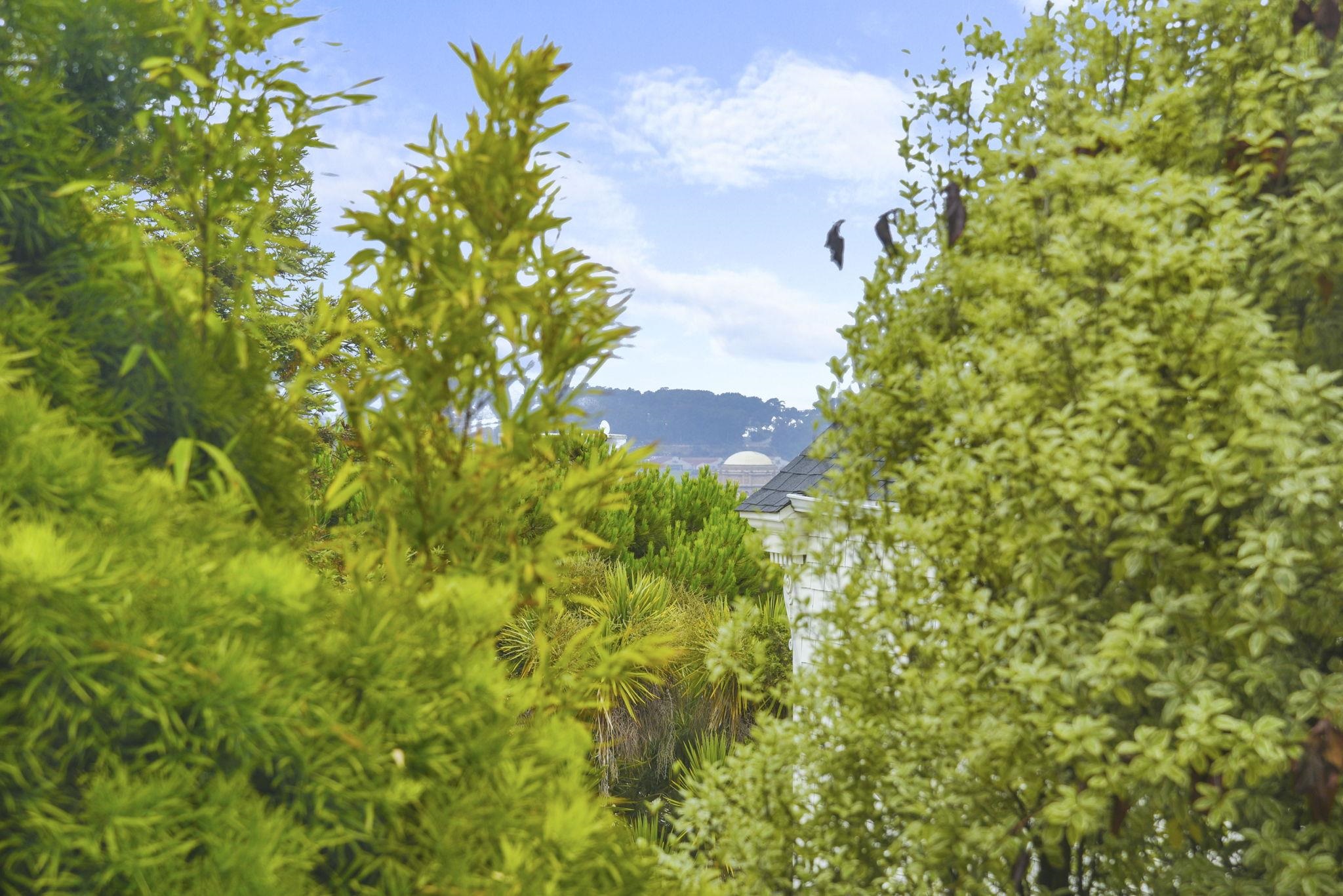 Detail Gallery Image 19 of 21 For 1925 Leavenworth St #7,  San Francisco,  CA 94133 - 1 Beds | 1 Baths