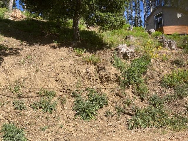 Detail Gallery Image 5 of 11 For 0000 Woodrow Drive, Oakland,  CA 94611 - – Beds | – Baths