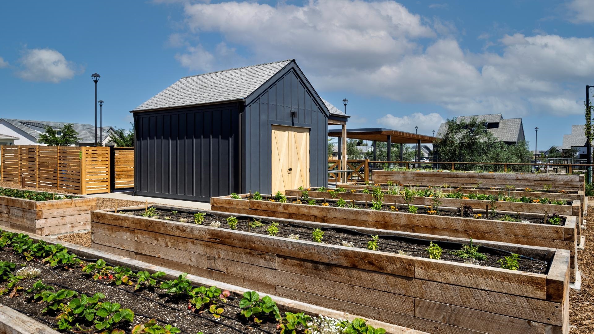 Detail Gallery Image 31 of 39 For 1883 Serene Court, Tracy,  CA 95377 - 2 Beds | 2 Baths