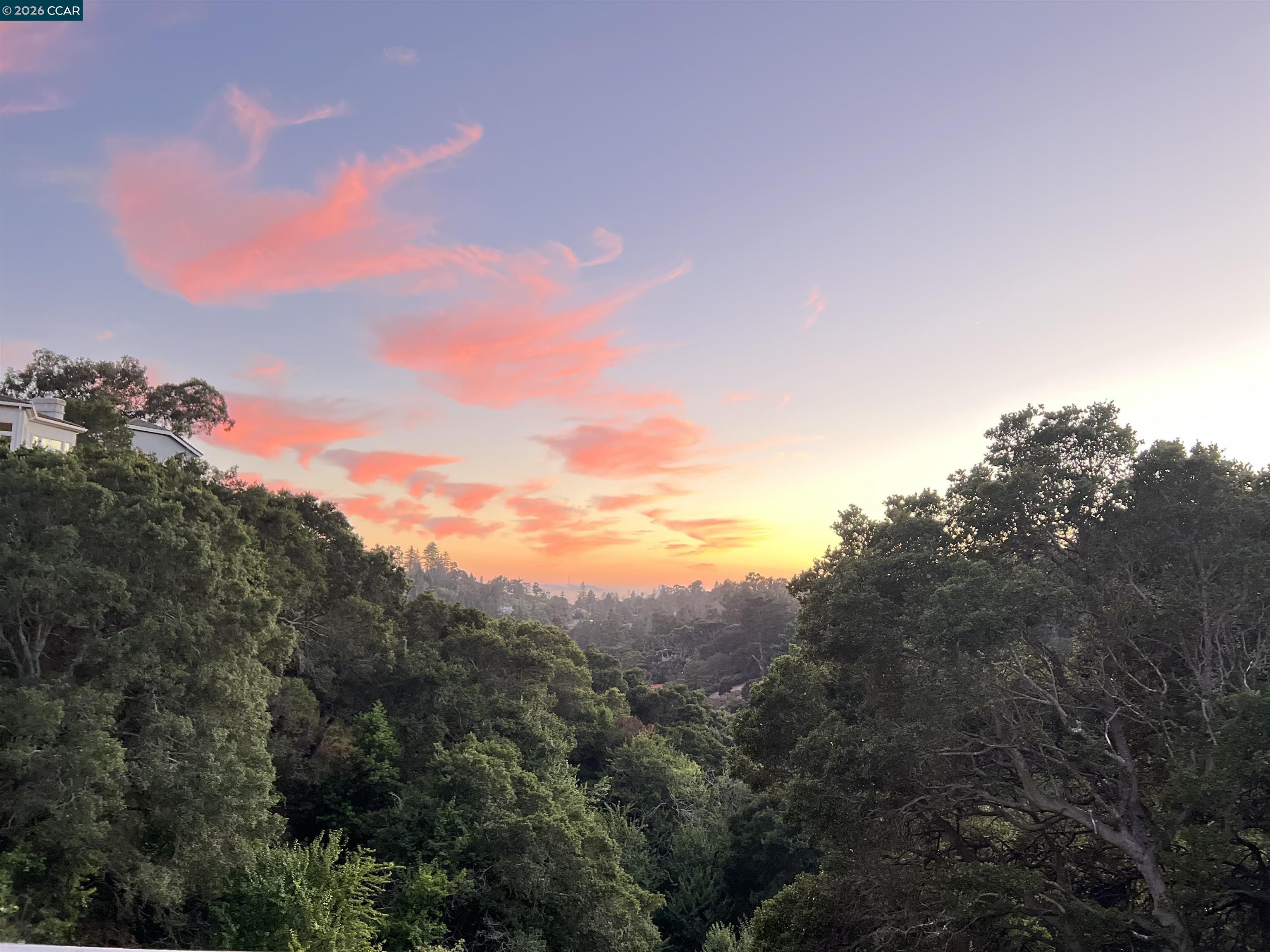 Front Image Thumbnail for CC41120076