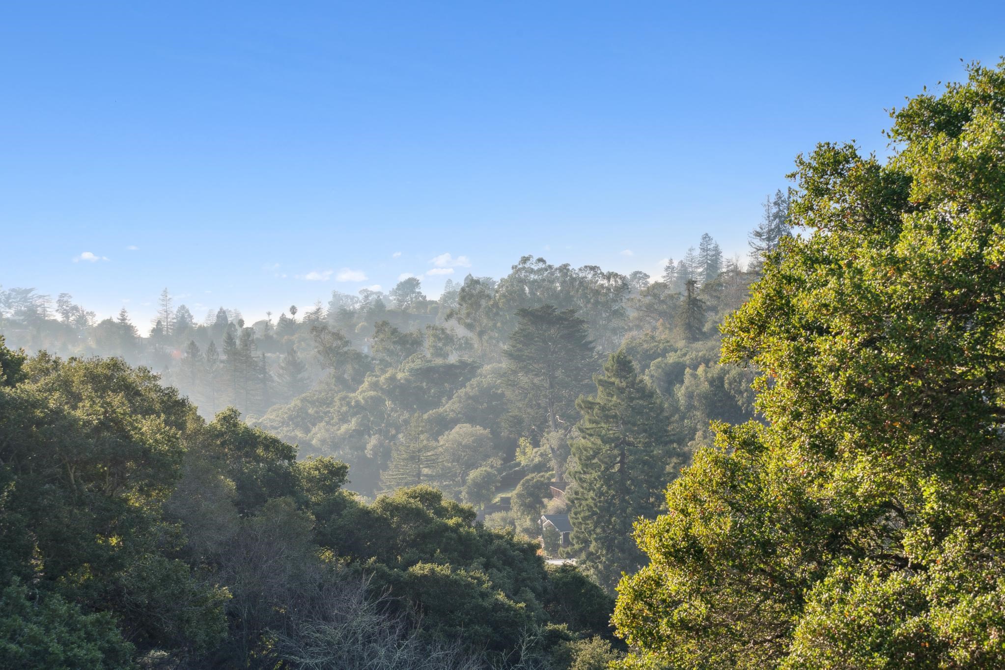 Detail Gallery Image 14 of 52 For 1715 Alhambra Ln, Oakland,  CA 94611 - 4 Beds | 3 Baths