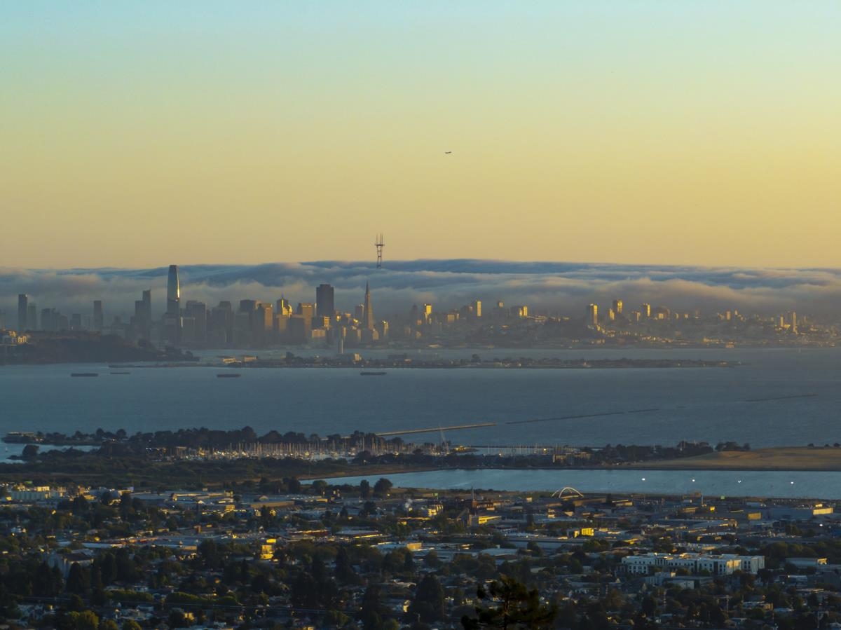 Detail Gallery Image 45 of 52 For 479 Kentucky Ave, Berkeley,  CA 94707 - 3 Beds | 2 Baths