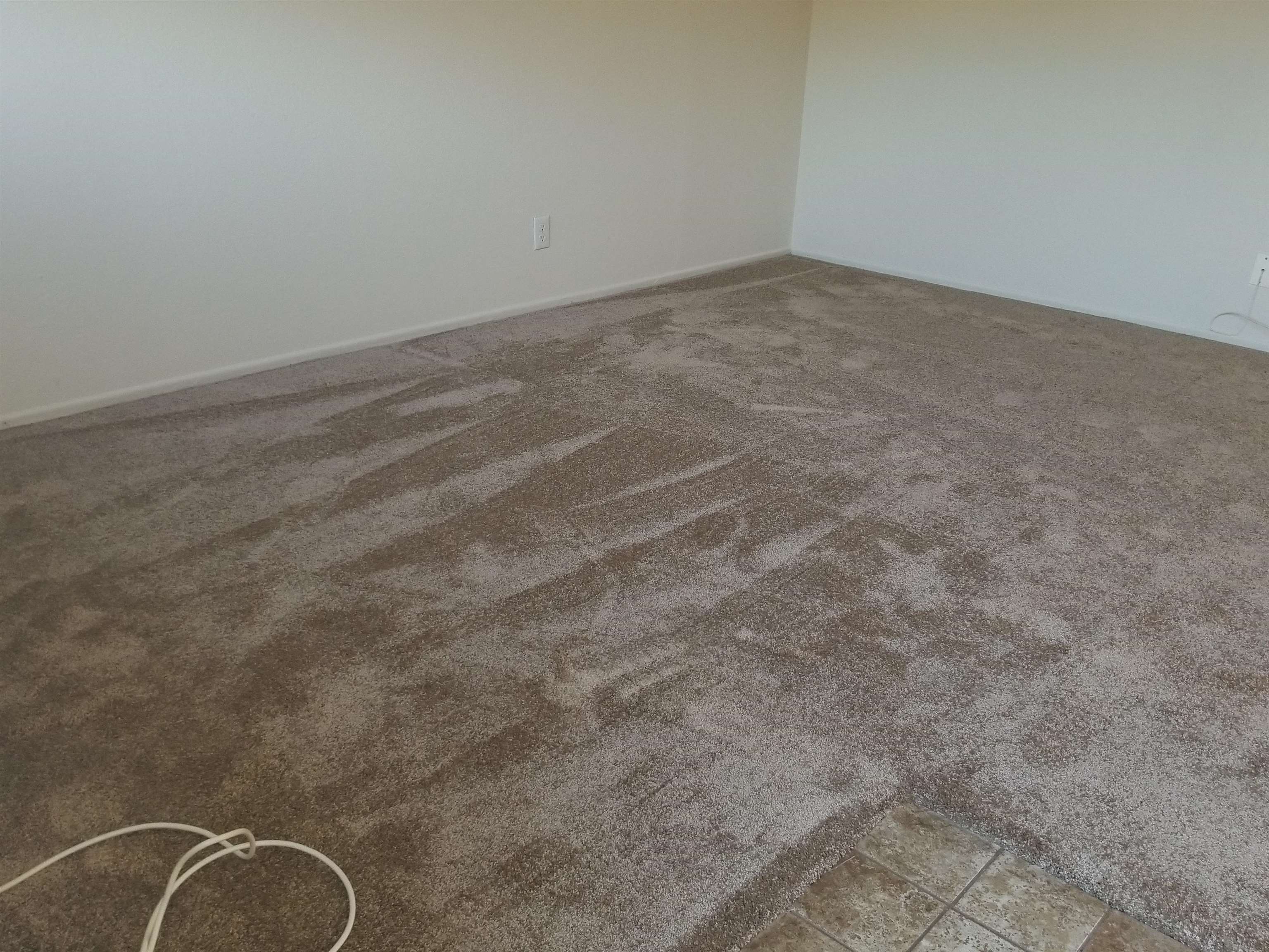 Detail Gallery Image 3 of 17 For 1738 4th St, Livermore,  CA 94550 - 1 Beds | 1 Baths