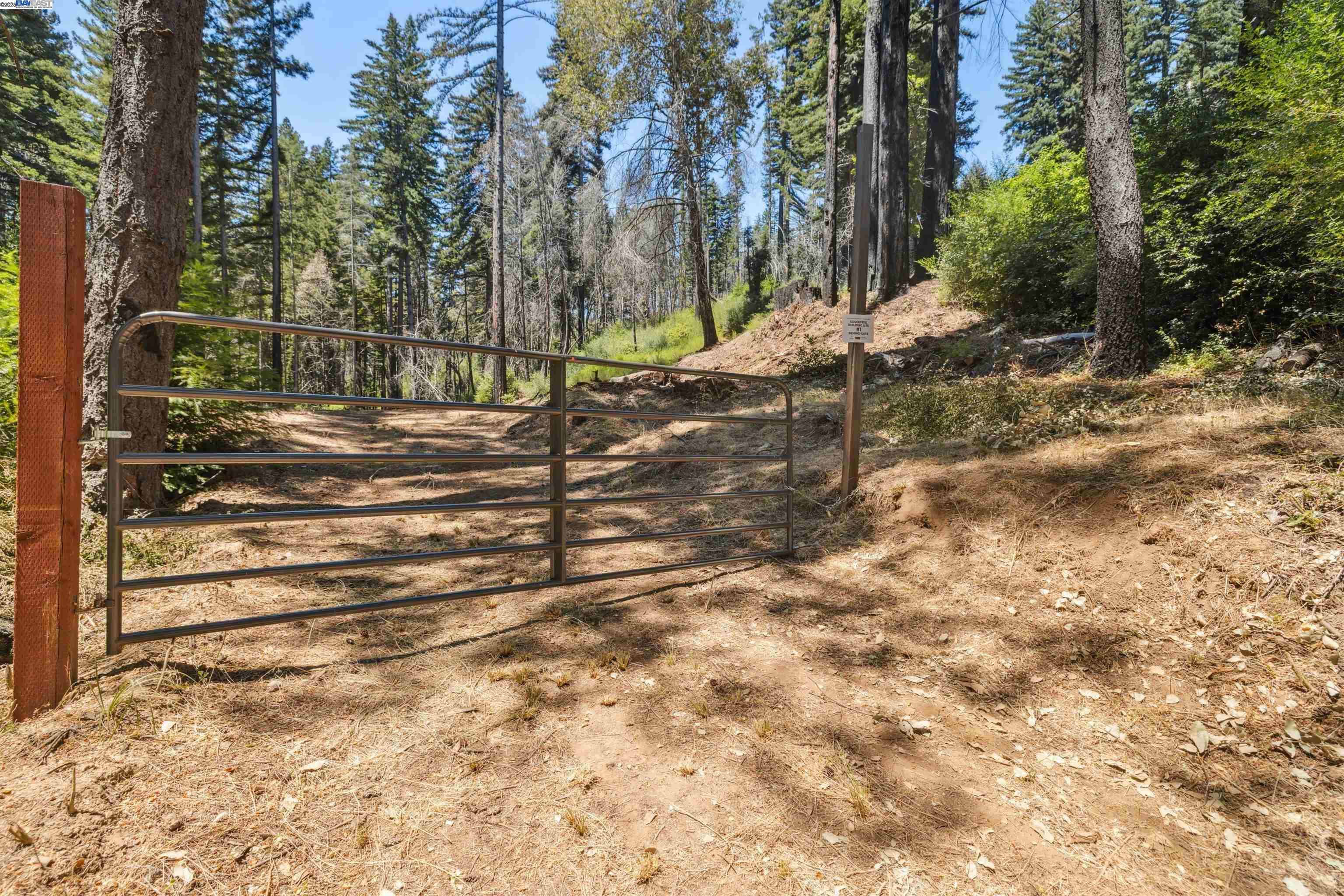 Detail Gallery Image 11 of 27 For Lot3&6 Branson Rn, Boulder Creek,  CA 95006 - – Beds | – Baths