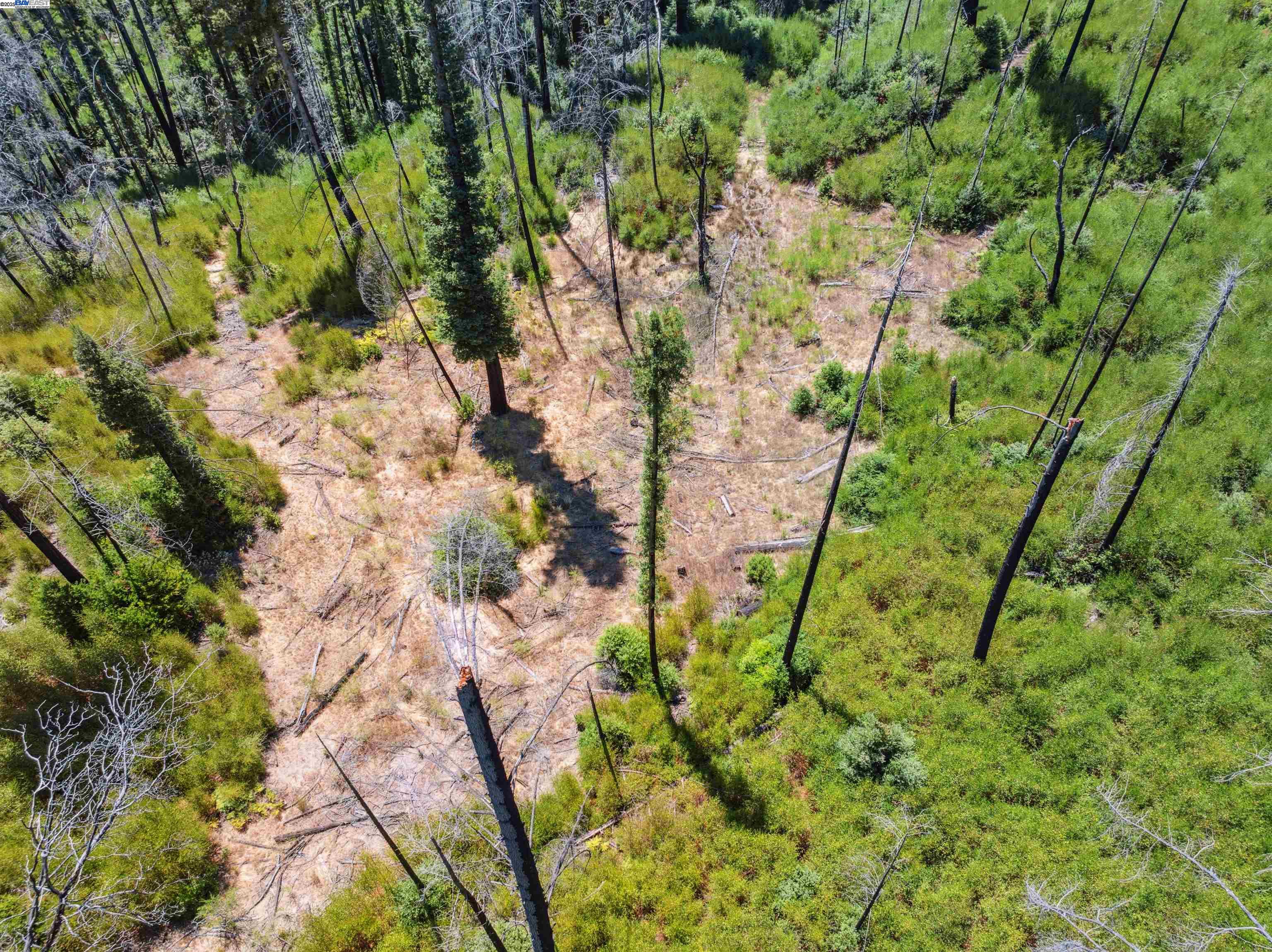 Detail Gallery Image 19 of 27 For Lot3&6 Branson Rn, Boulder Creek,  CA 95006 - – Beds | – Baths