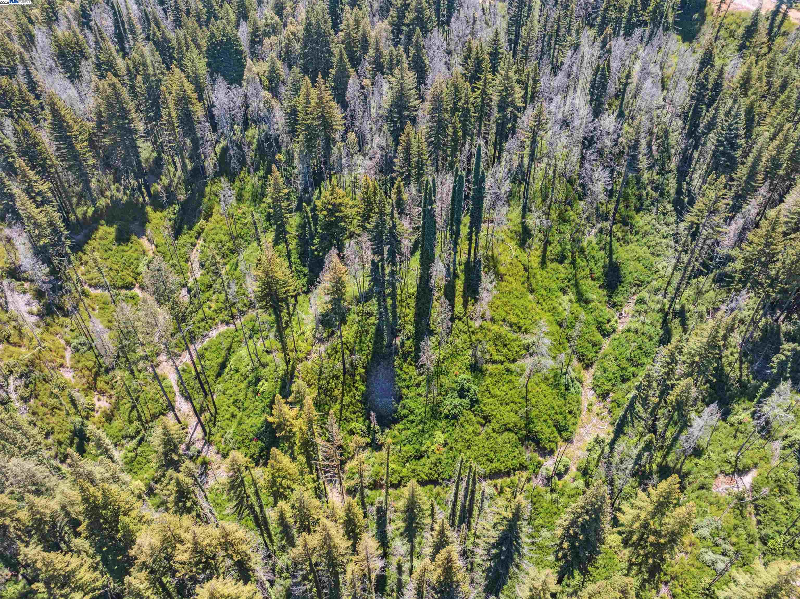 Detail Gallery Image 22 of 27 For Lot3&6 Branson Rn, Boulder Creek,  CA 95006 - – Beds | – Baths