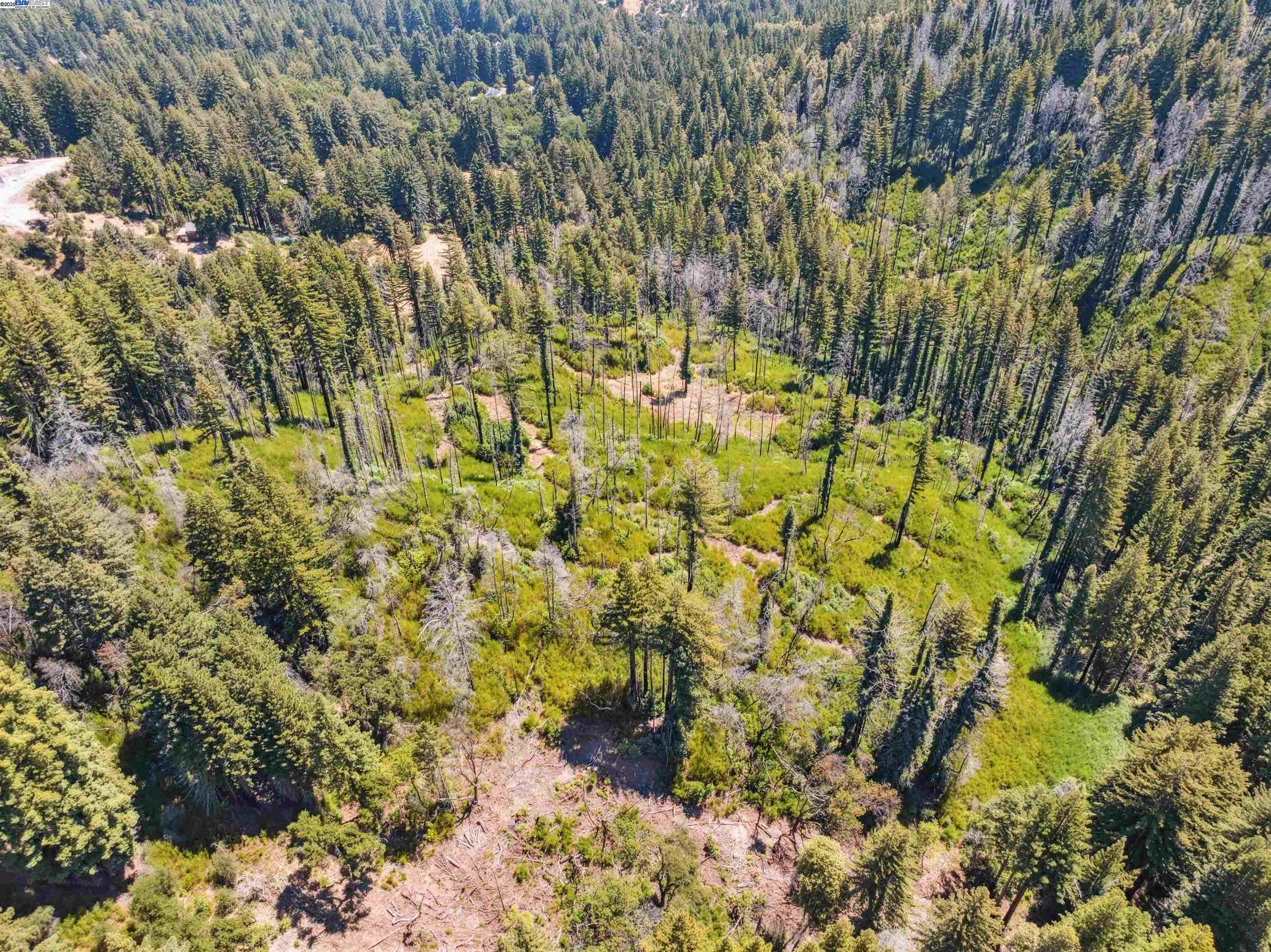 Detail Gallery Image 26 of 27 For Lot3&6 Branson Rn, Boulder Creek,  CA 95006 - – Beds | – Baths