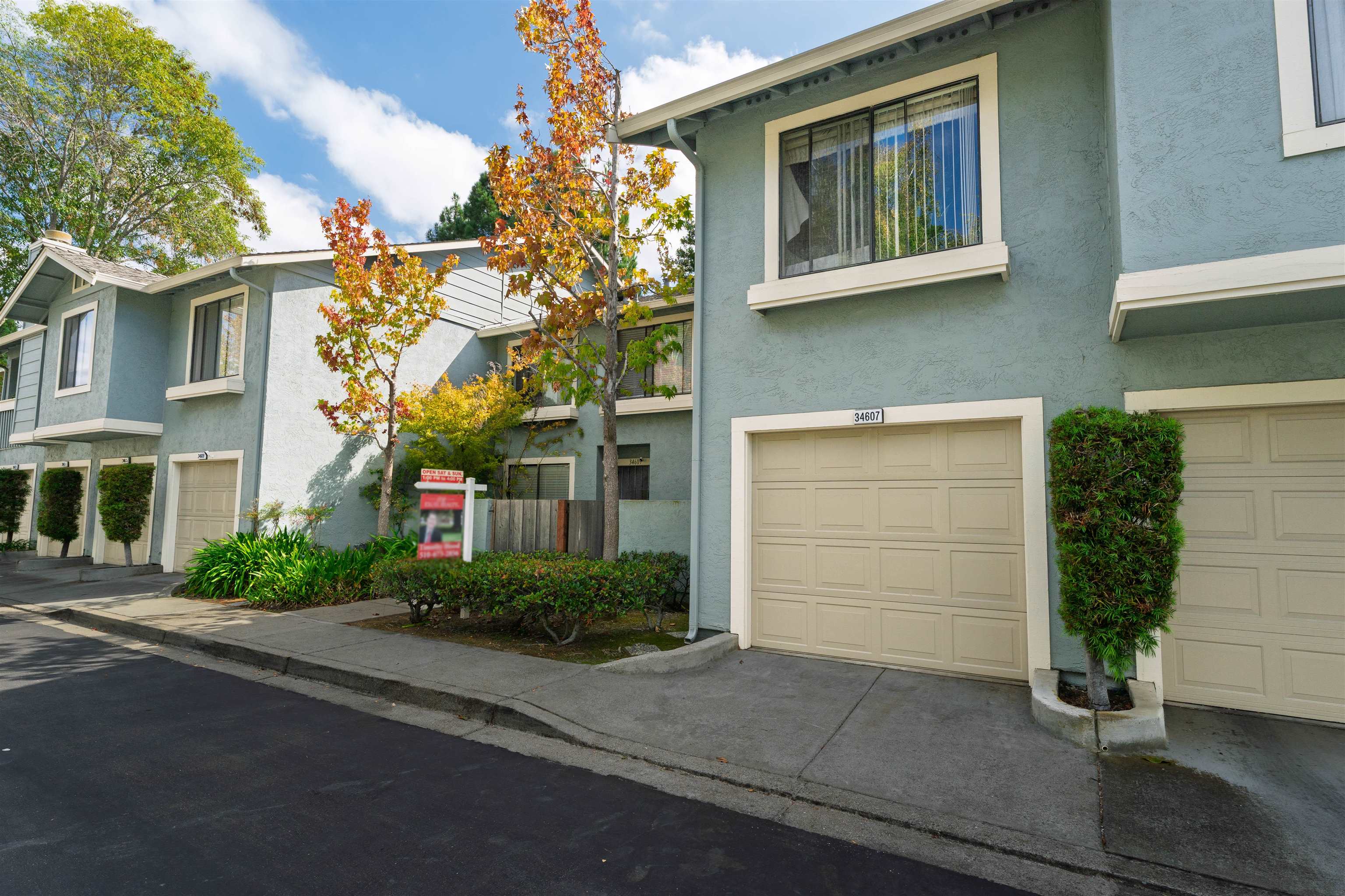 Photo #3: 41120115 Listing: Photo #3