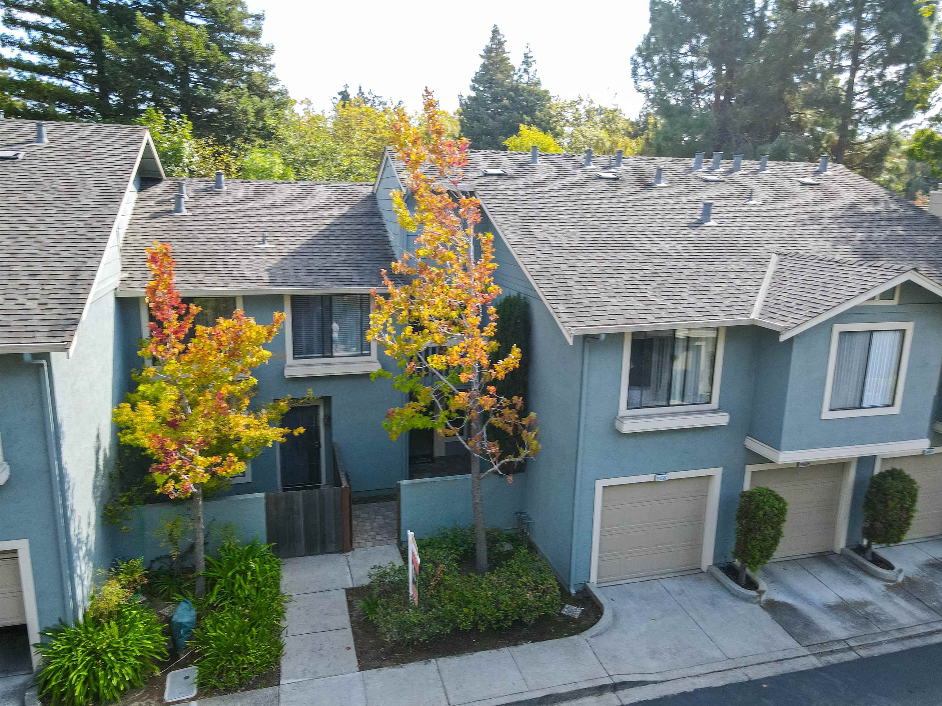 Photo #5: 41120115 Listing: Photo #5