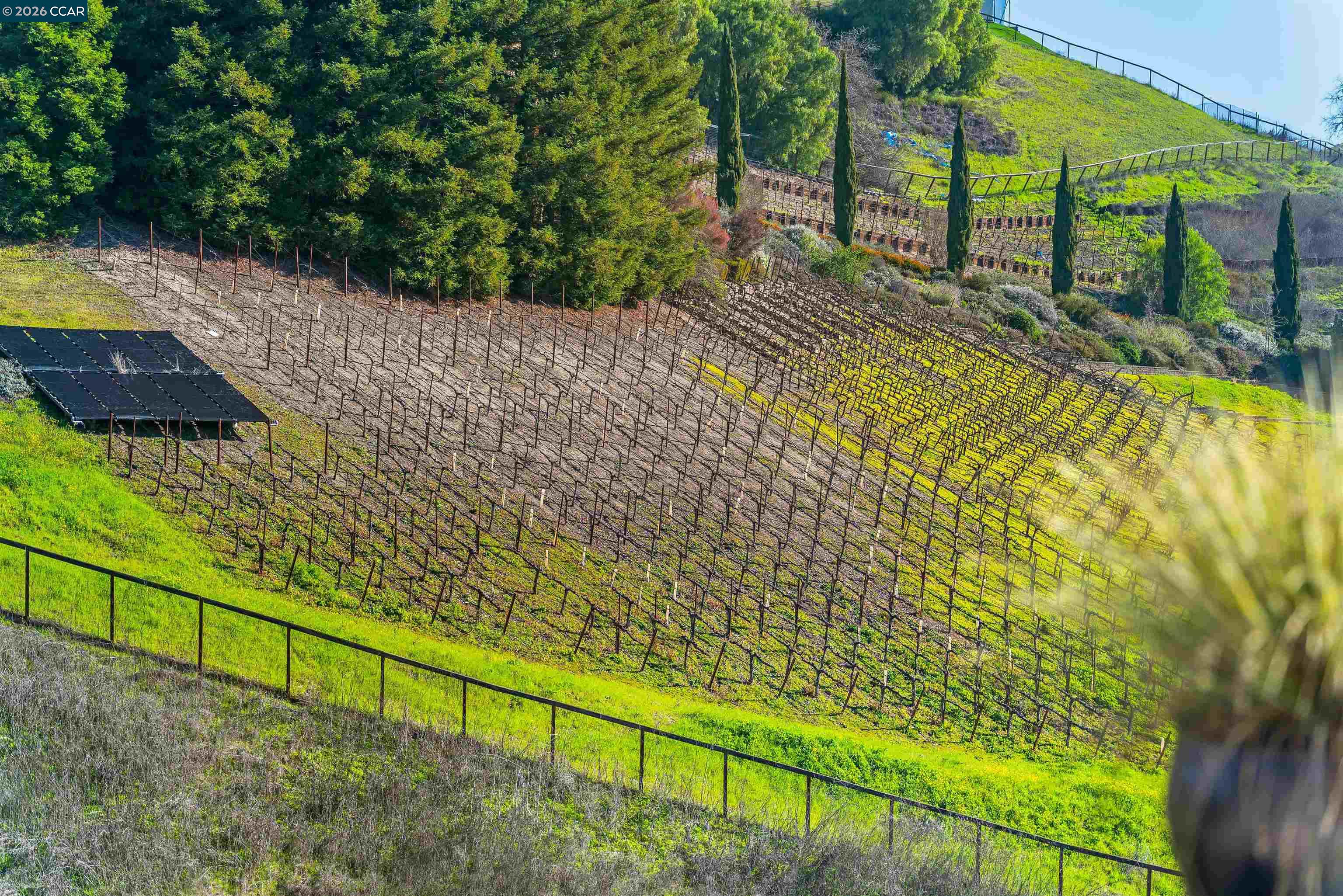 Detail Gallery Image 49 of 60 For 138 Sunhaven Rd, Danville,  CA 94506 - 4 Beds | 3 Baths