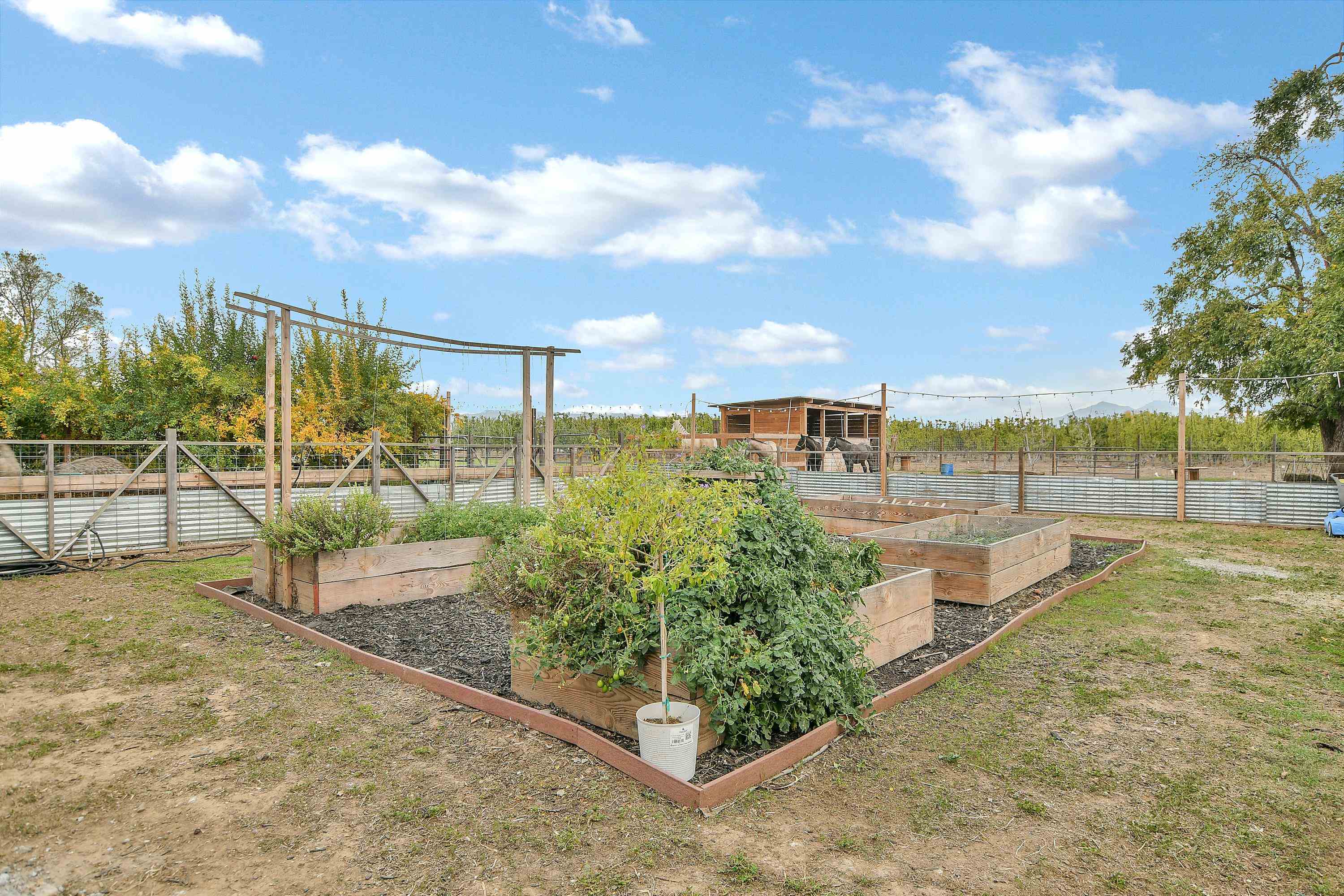 Detail Gallery Image 23 of 26 For 2661 Walnut Blvd, Brentwood,  CA 94513 - 3 Beds | 2 Baths