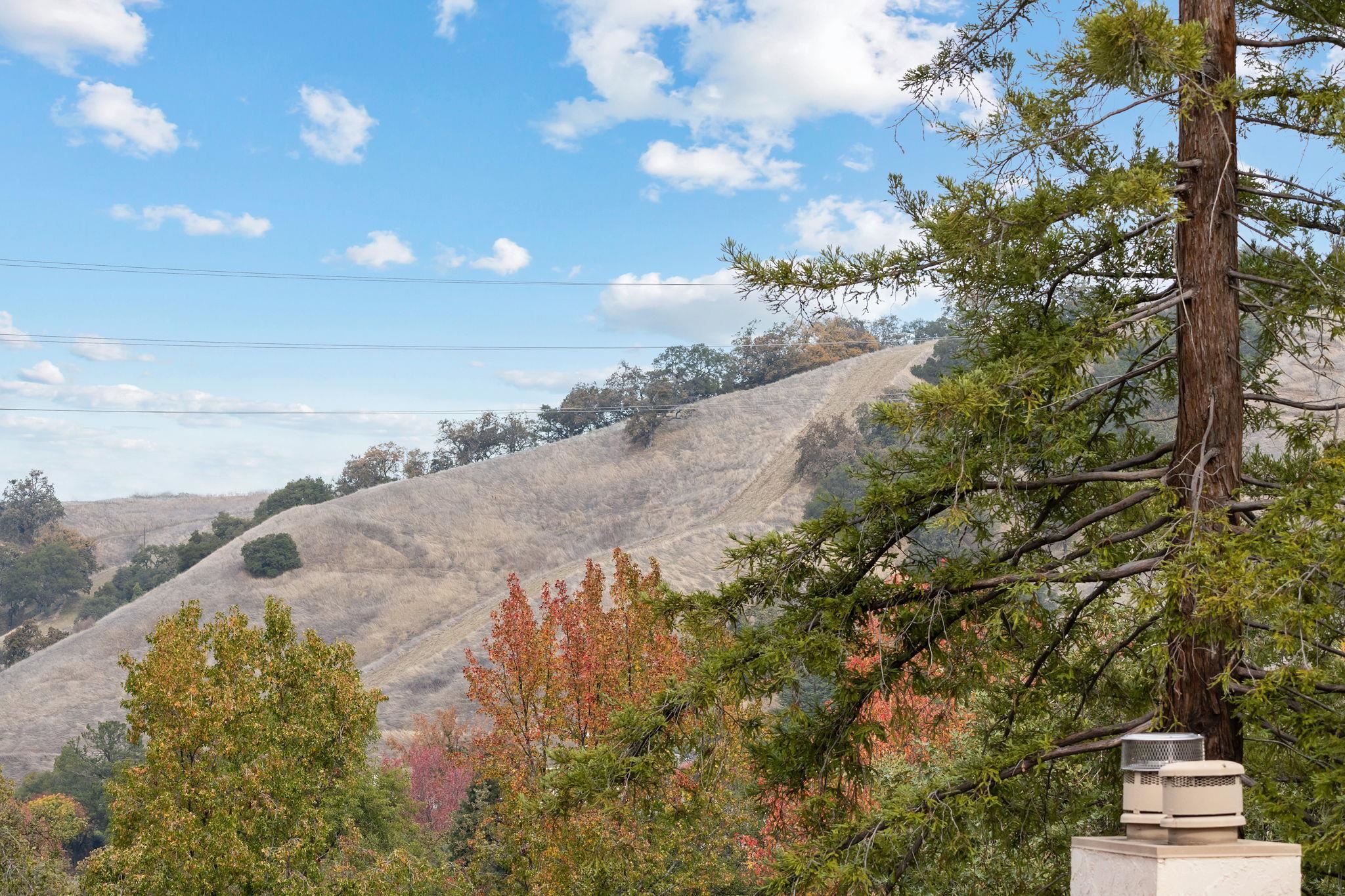 Detail Gallery Image 13 of 42 For 1129 Avenida Sevilla 5b,  Walnut Creek,  CA 94595 - 2 Beds | 2 Baths