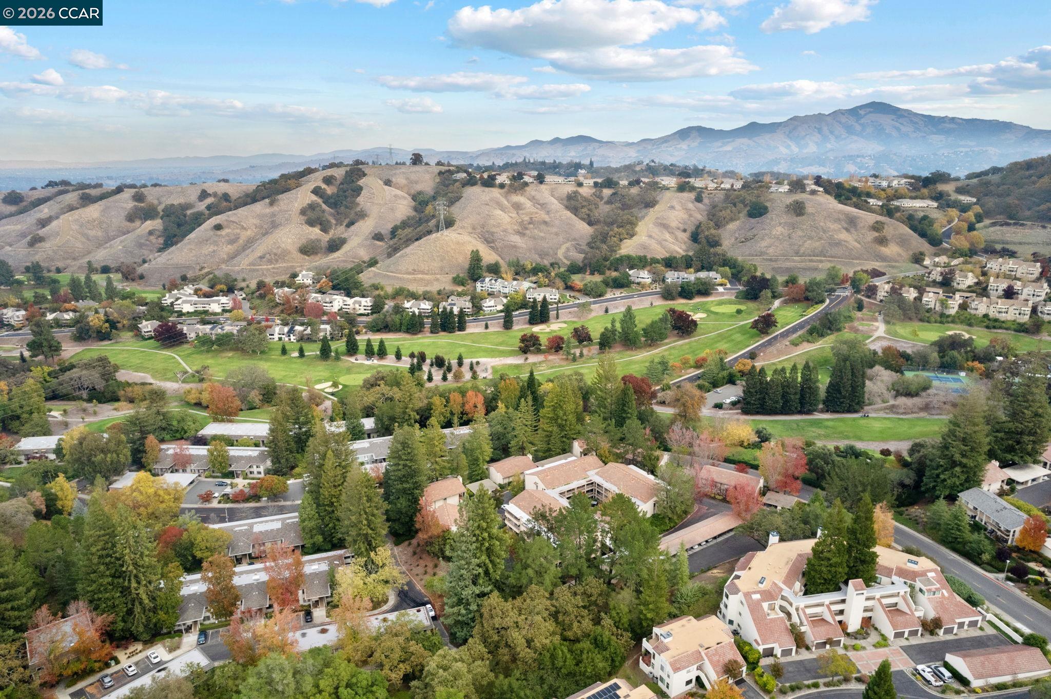 Photo #41: 41120141 Listing: Photo #41