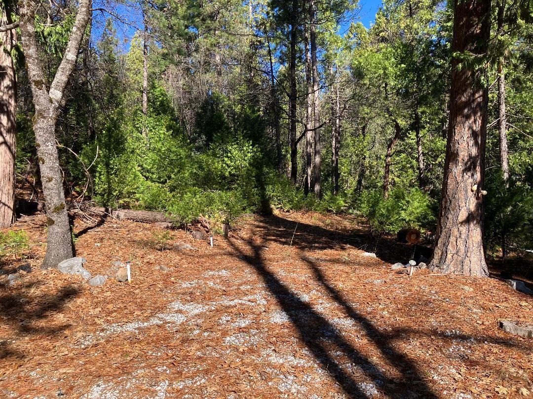 Detail Gallery Image 35 of 44 For 22650 Fuller Rd, Twain Harte,  CA 95383 - 2 Beds | 1 Baths