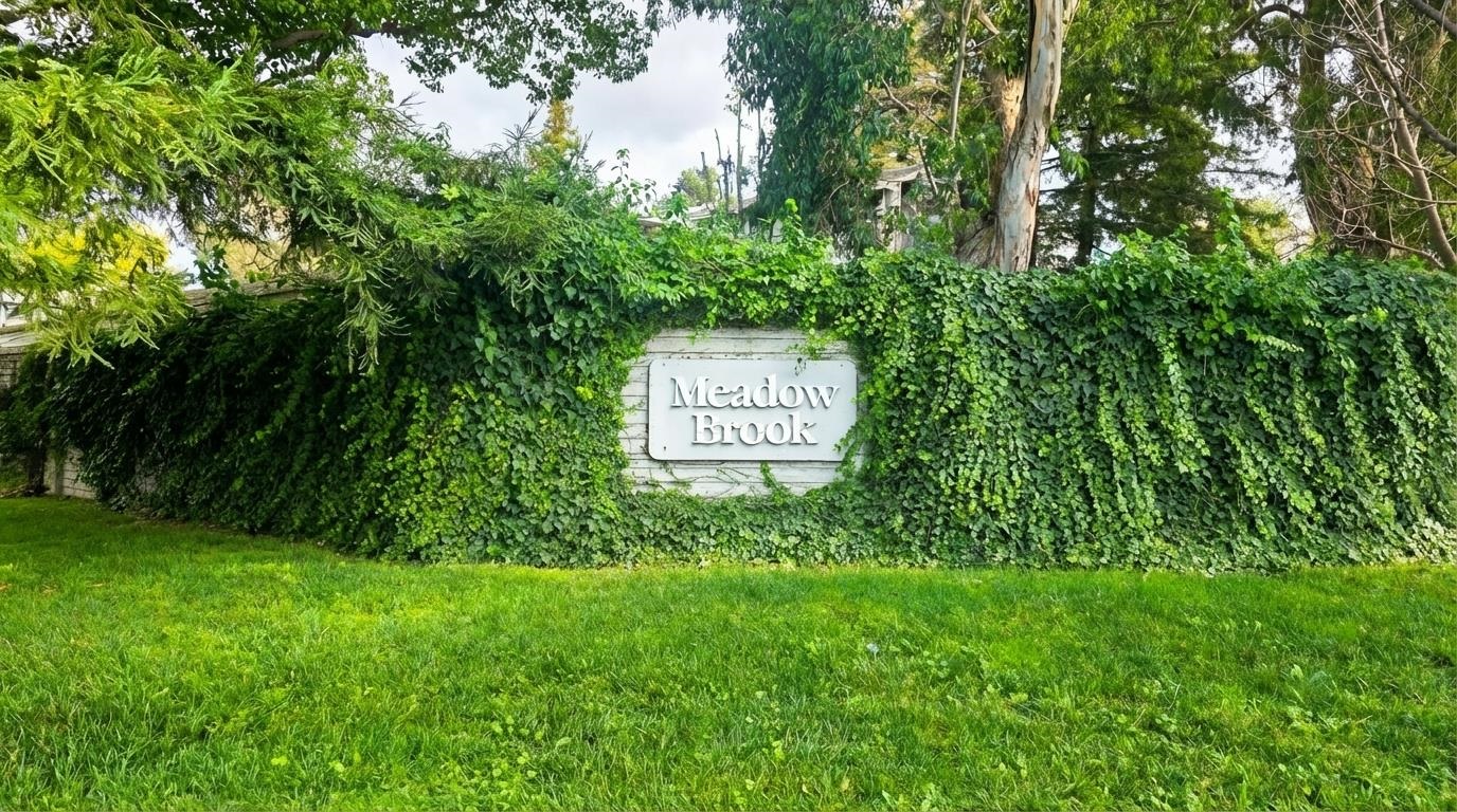 Photo #24: 41120160 Listing: Photo #24