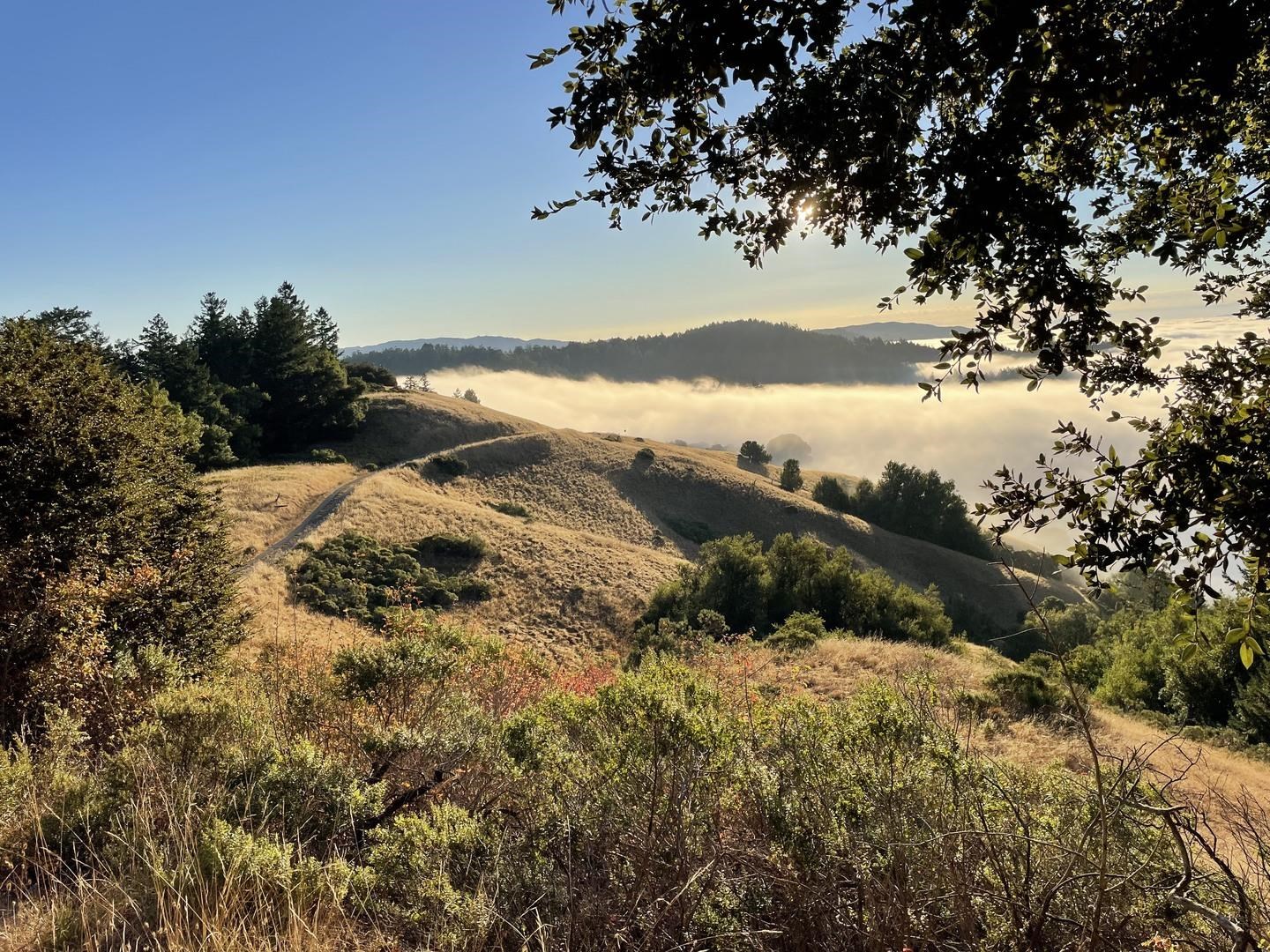 Detail Gallery Image 4 of 7 For 00 Mountain King Rd, Lagunitas,  CA 94938 - – Beds | – Baths