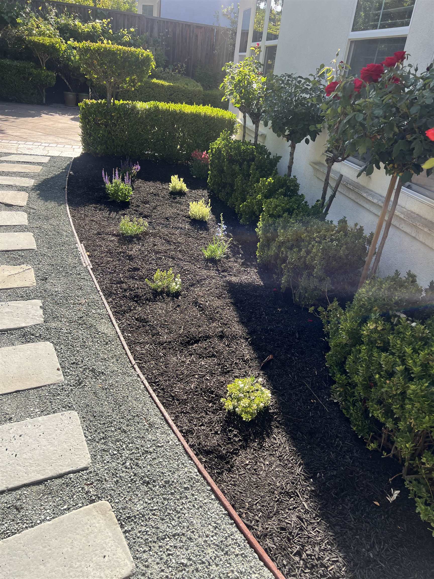 Detail Gallery Image 23 of 23 For 2133 Watercress Pl, San Ramon,  CA 94582 - 3 Beds | 2 Baths