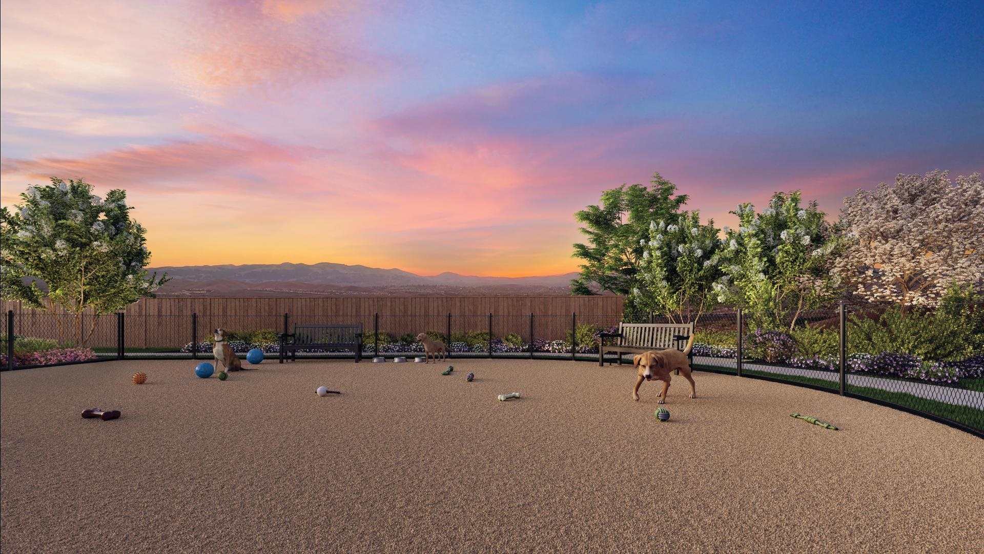 Detail Gallery Image 9 of 13 For 19629 Juniper Loop, Morgan Hill,  CA 95037 - 4 Beds | 3/1 Baths