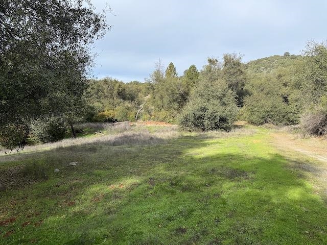 Detail Gallery Image 15 of 15 For 18241 Berry Ln, Sonora,  CA 95370 - 2 Beds | 1 Baths