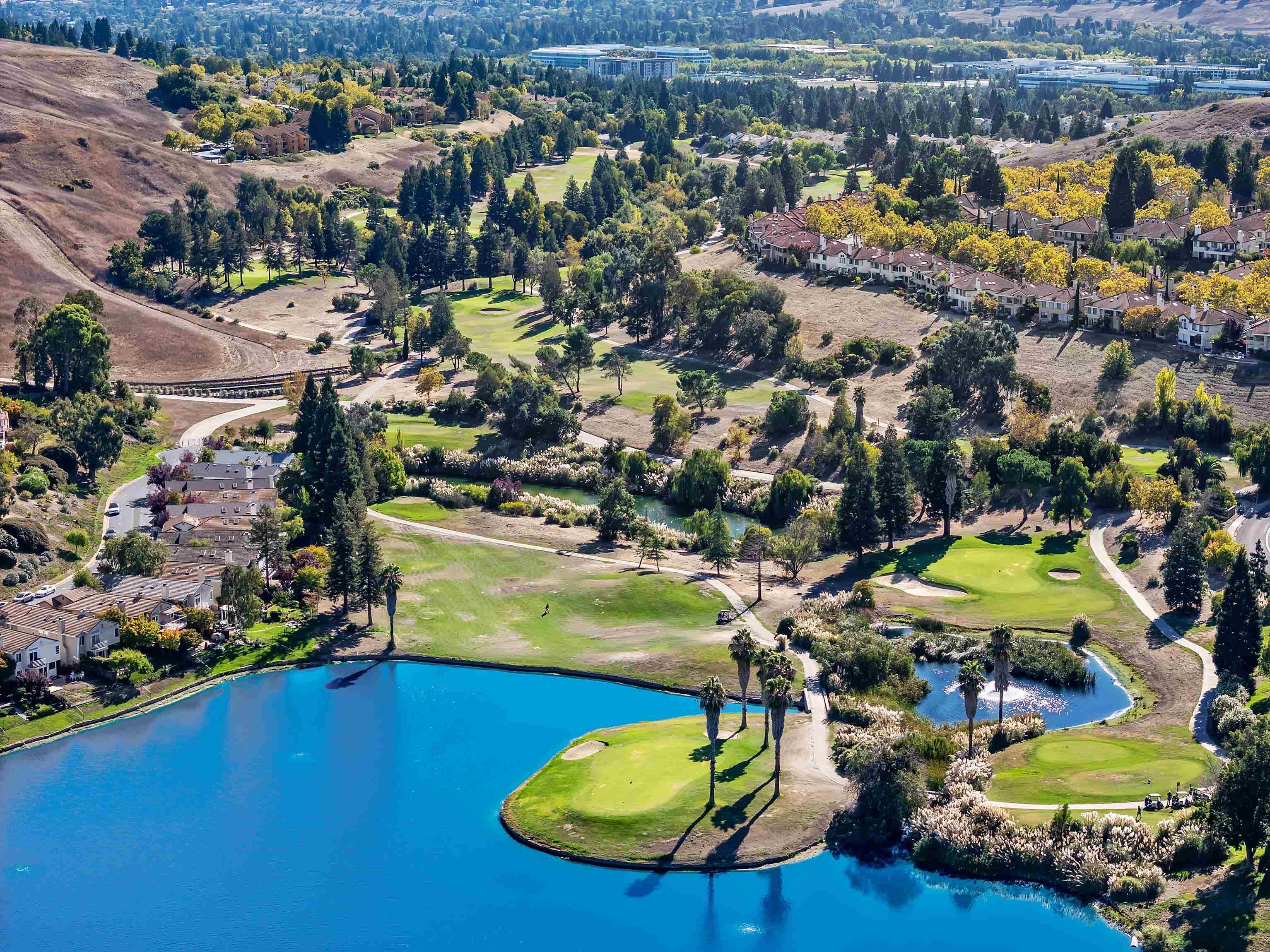 Detail Gallery Image 51 of 57 For 6206 Lakeview Cir, San Ramon,  CA 94582 - 3 Beds | 2/1 Baths