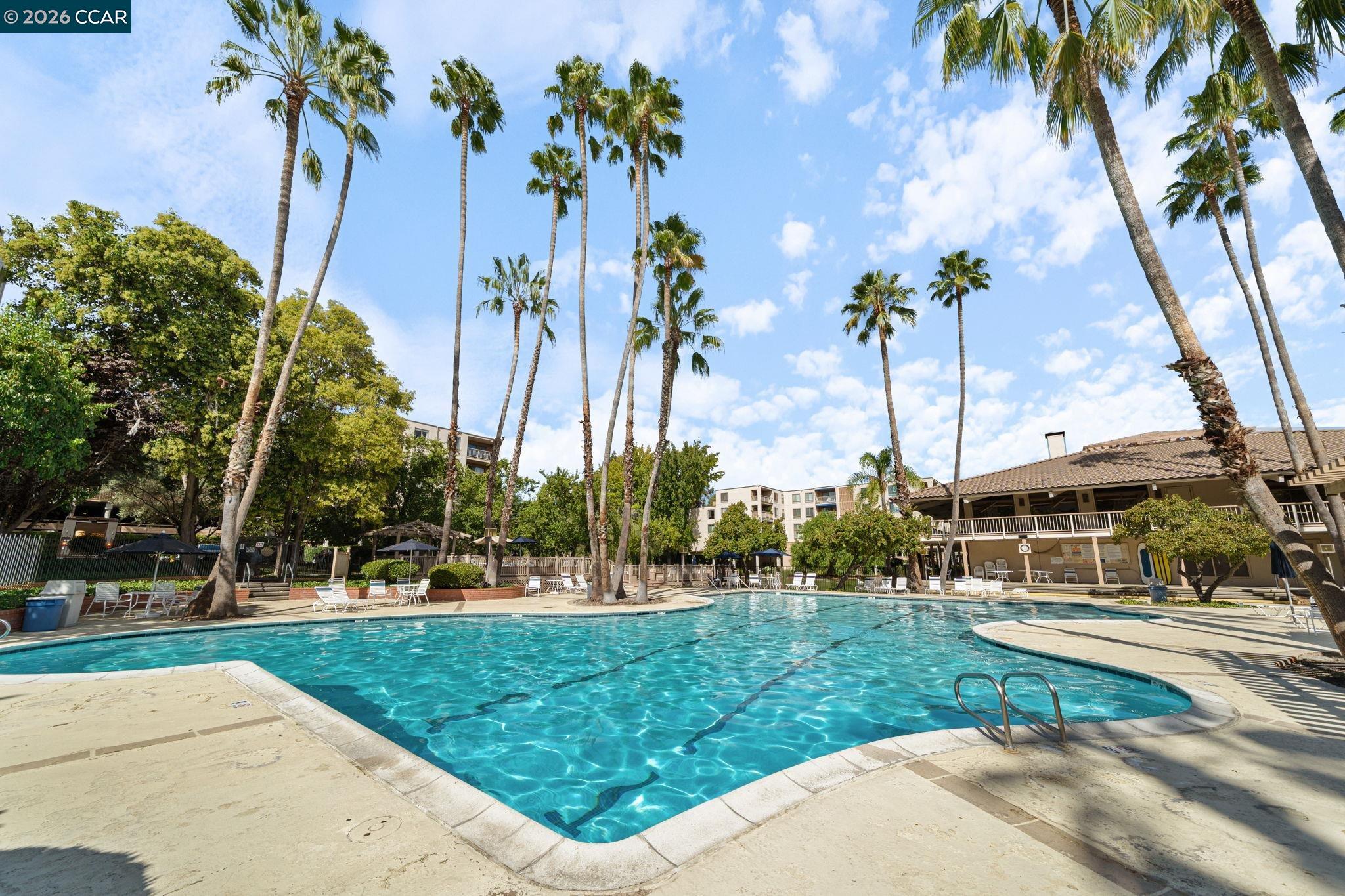 Detail Gallery Image 15 of 24 For 320 N Civic Drive #407,  Walnut Creek,  CA 94596 - 1 Beds | 1 Baths