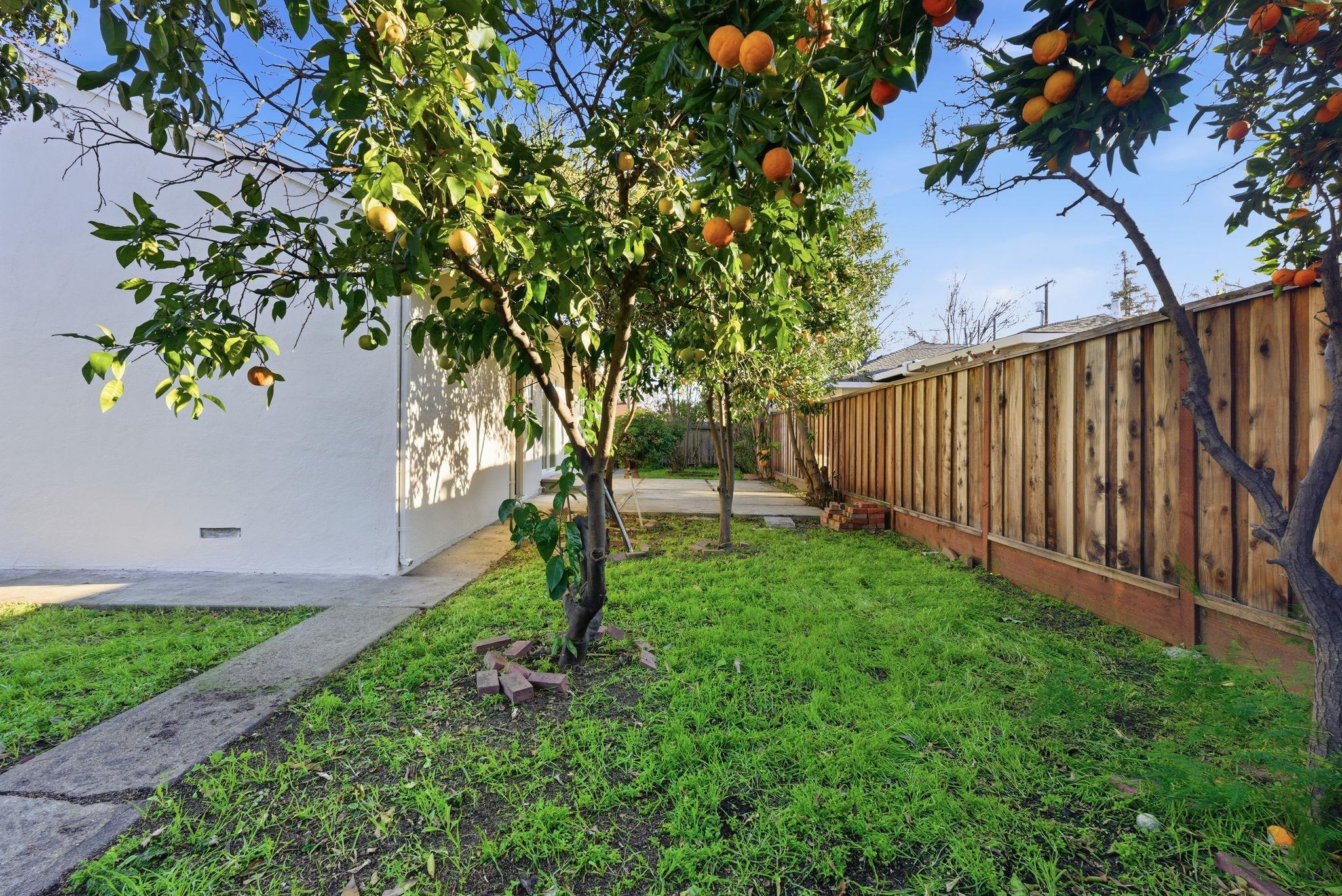 Detail Gallery Image 33 of 39 For 2719 Grant St, Concord,  CA 94520 - 3 Beds | 1 Baths