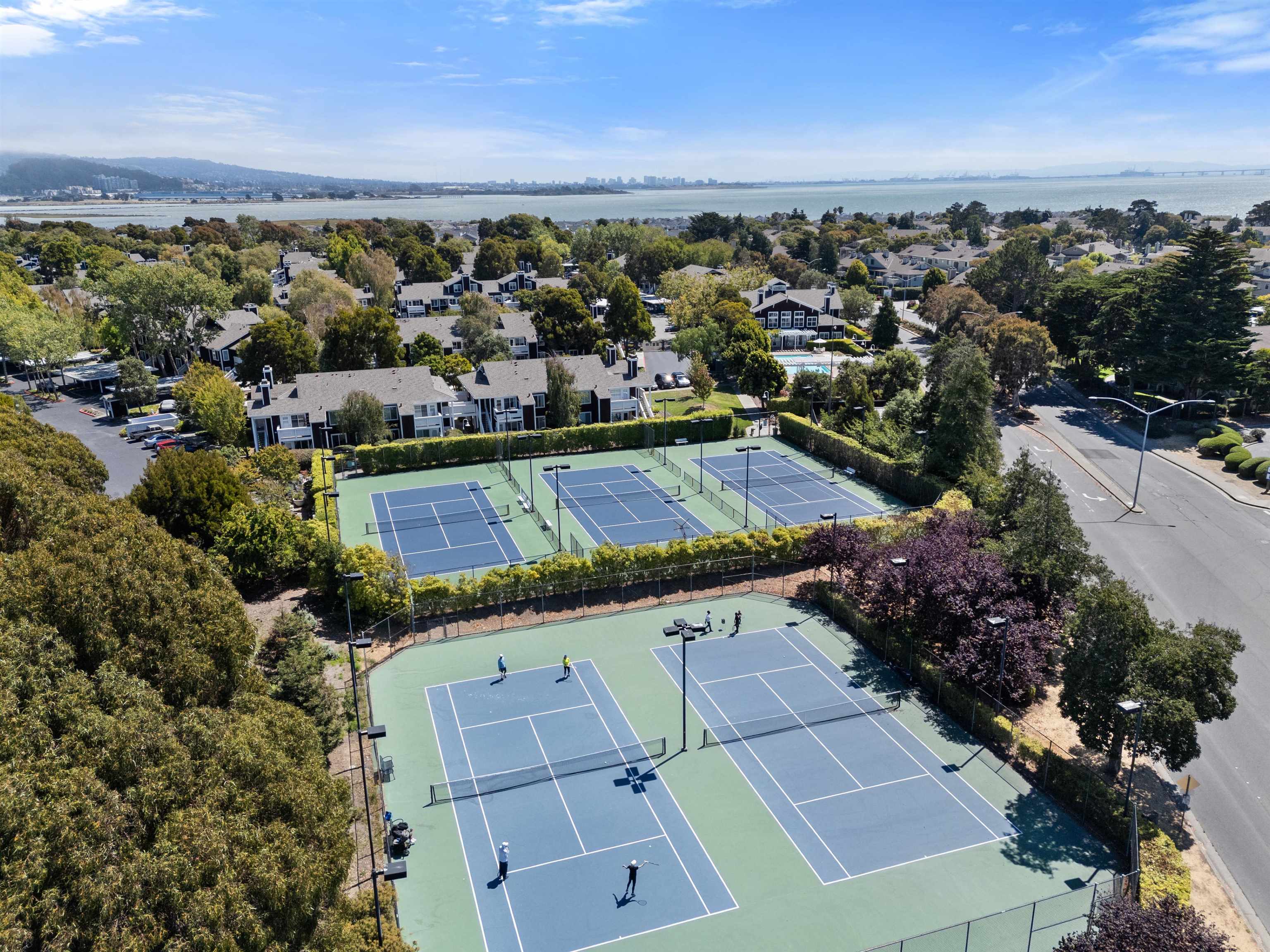 Photo #40: 41120214 Listing: Photo #40