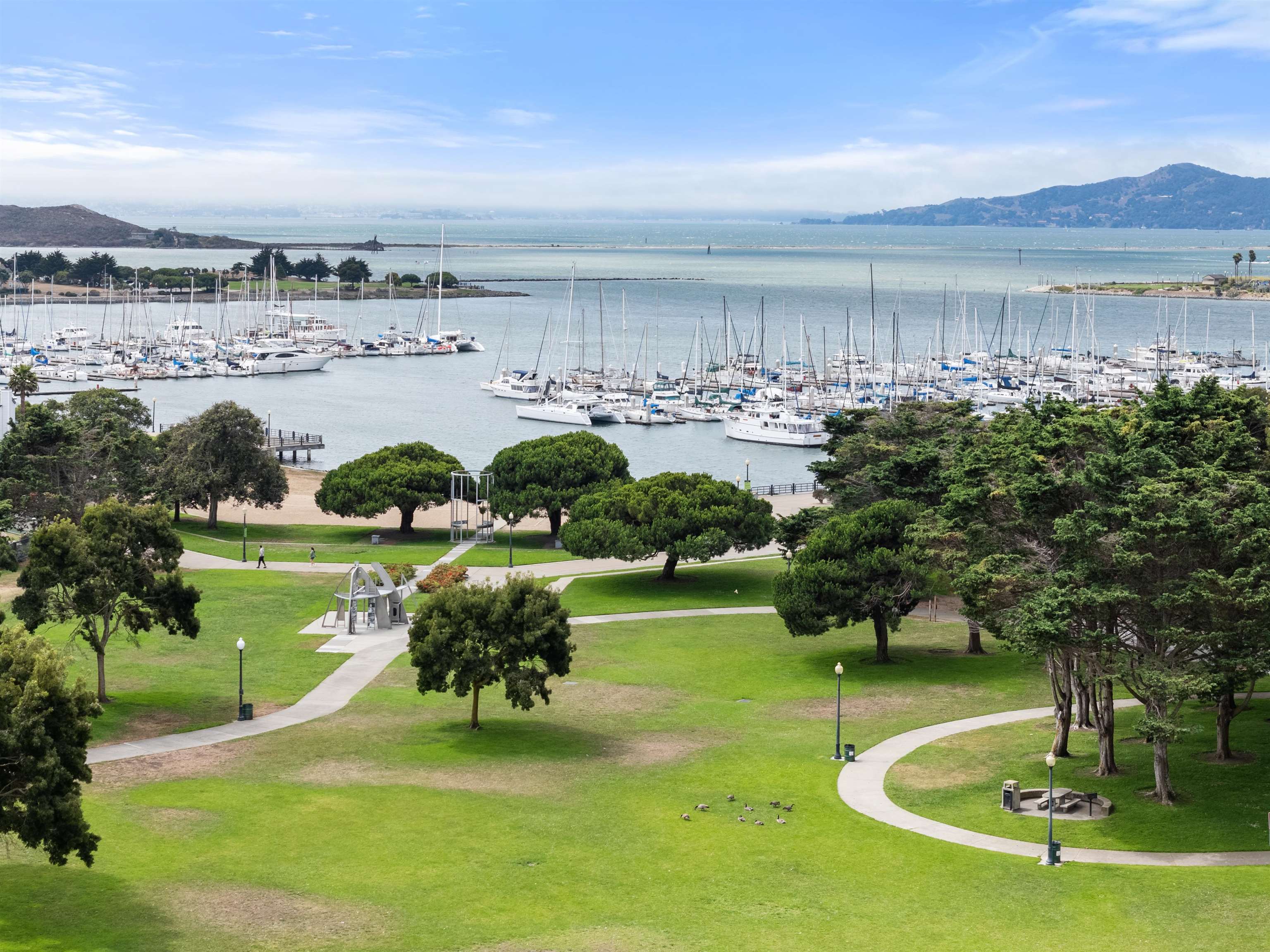 Photo #43: 41120214 Listing: Photo #43