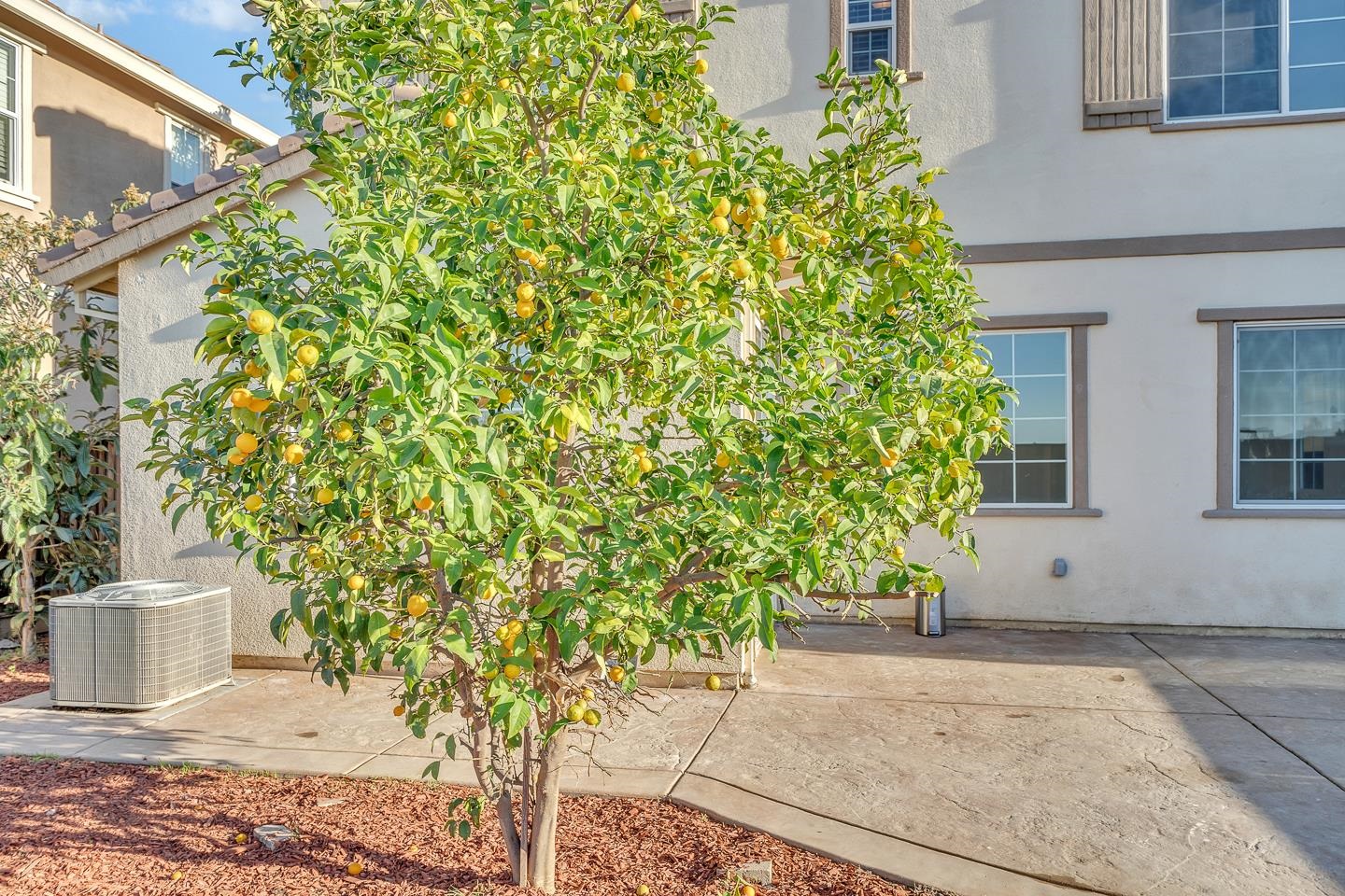 Detail Gallery Image 22 of 27 For 4747 Dundee St, Antioch,  CA 94531 - 4 Beds | 3 Baths