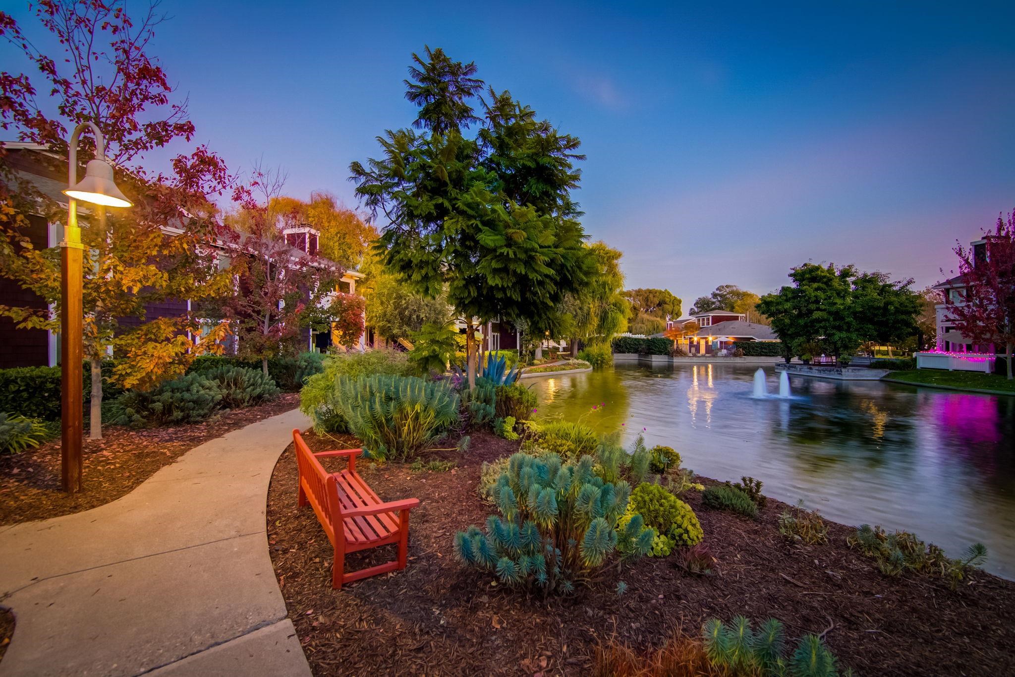 Photo #42: 41120235 Listing: Photo #42