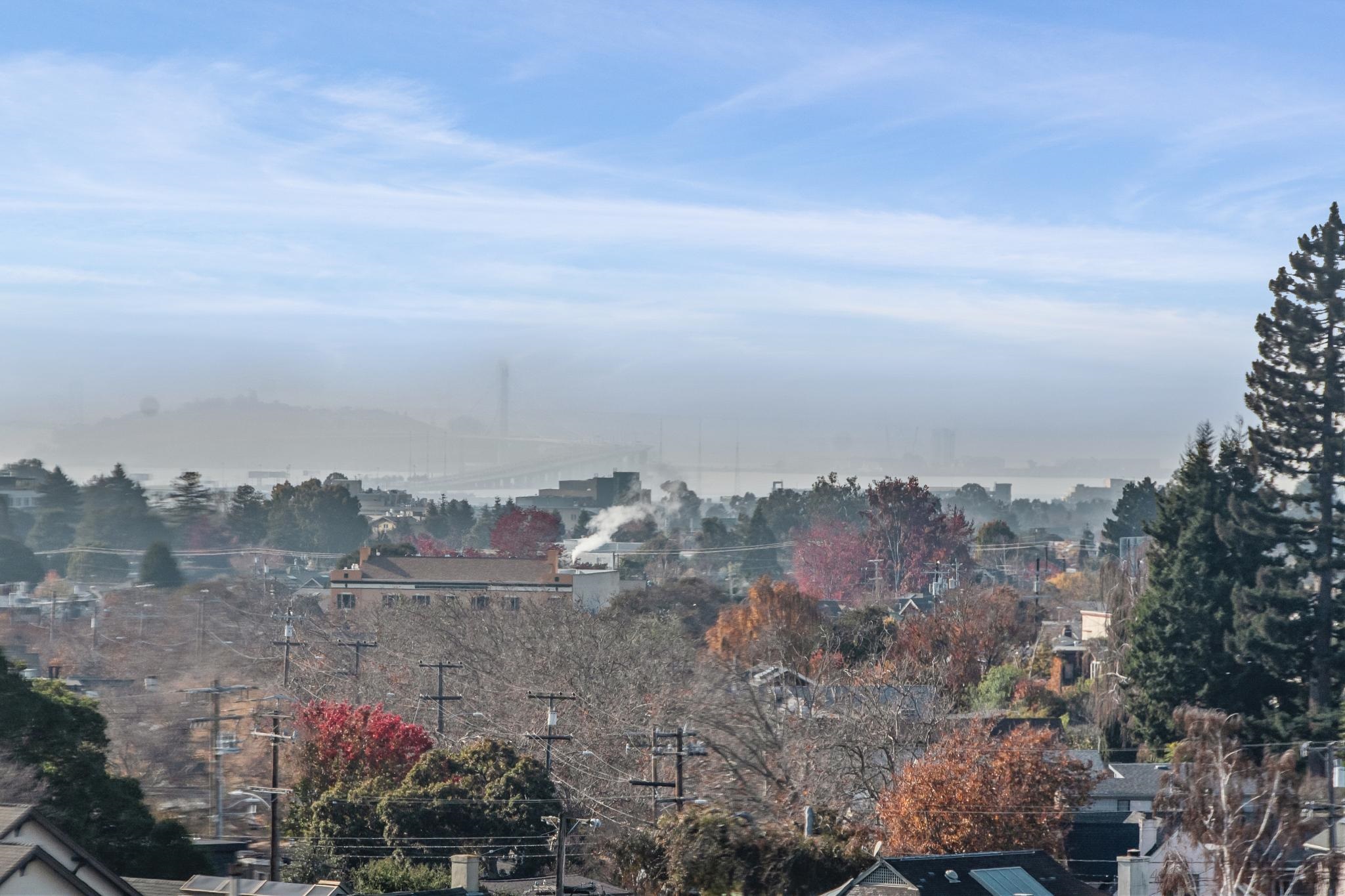 Detail Gallery Image 43 of 58 For 5765 Manila Ave, Oakland,  CA 94618 - 4 Beds | 1/1 Baths