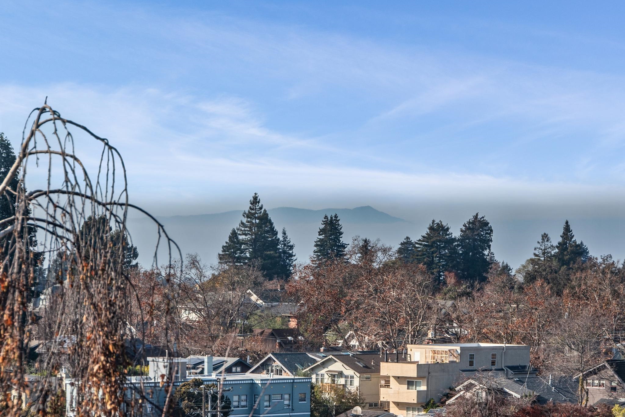 Detail Gallery Image 44 of 58 For 5765 Manila Ave, Oakland,  CA 94618 - 4 Beds | 1/1 Baths