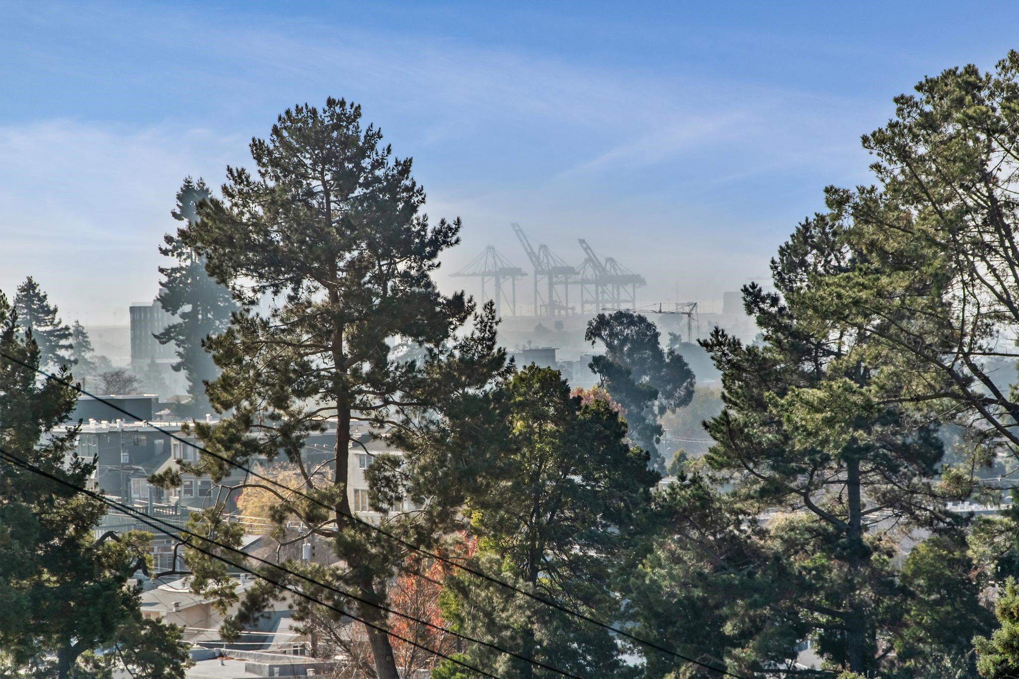 Detail Gallery Image 48 of 58 For 5765 Manila Ave, Oakland,  CA 94618 - 4 Beds | 1/1 Baths