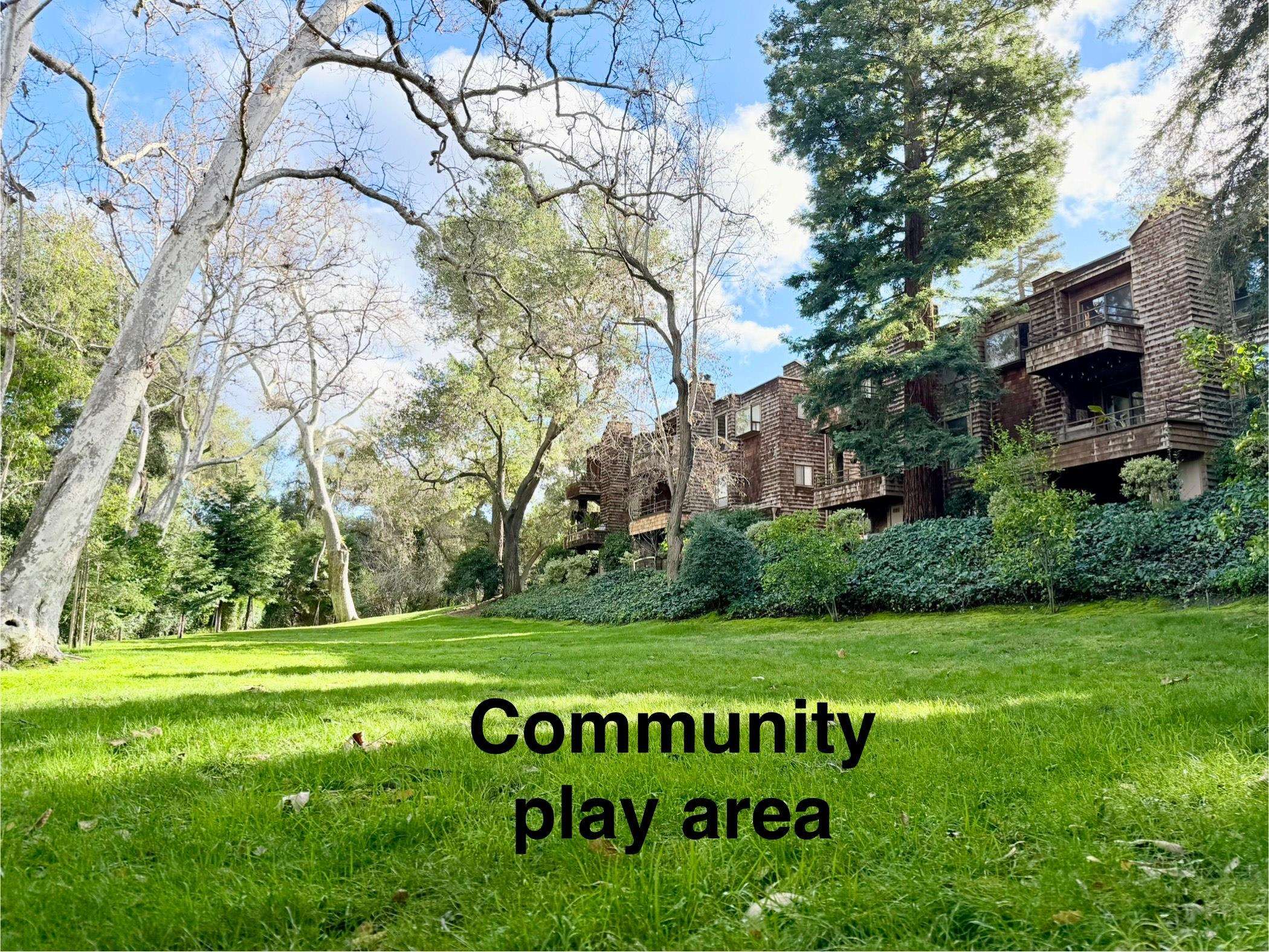 Detail Gallery Image 43 of 45 For 10900 Lucky Oak St, Cupertino,  CA 95014 - 3 Beds | 3/1 Baths