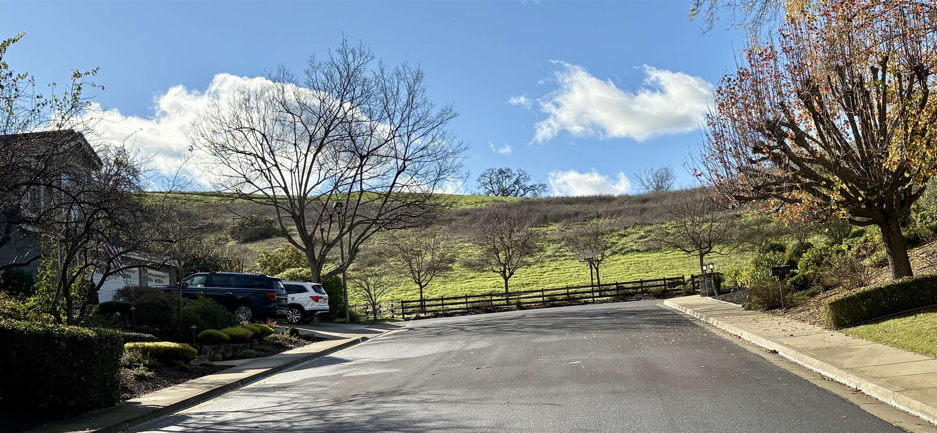 Detail Gallery Image 41 of 45 For 36 Savona Court, Danville,  CA 94526 - 4 Beds | 3 Baths