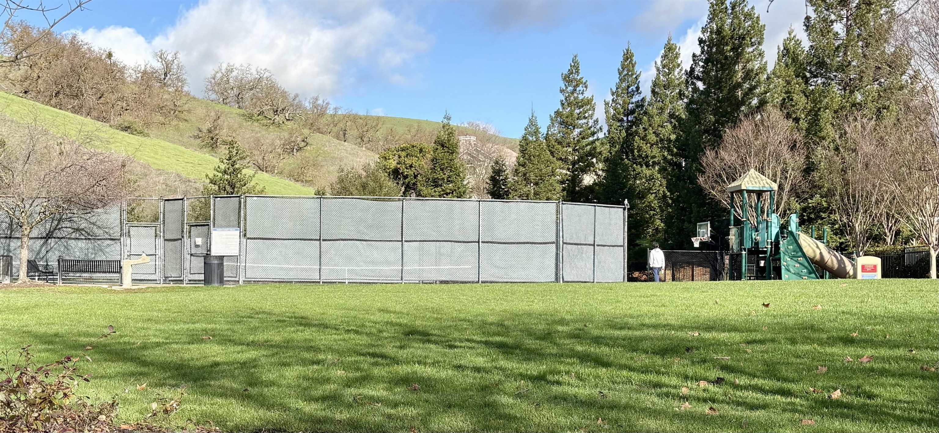 Detail Gallery Image 44 of 45 For 36 Savona Court, Danville,  CA 94526 - 4 Beds | 3 Baths