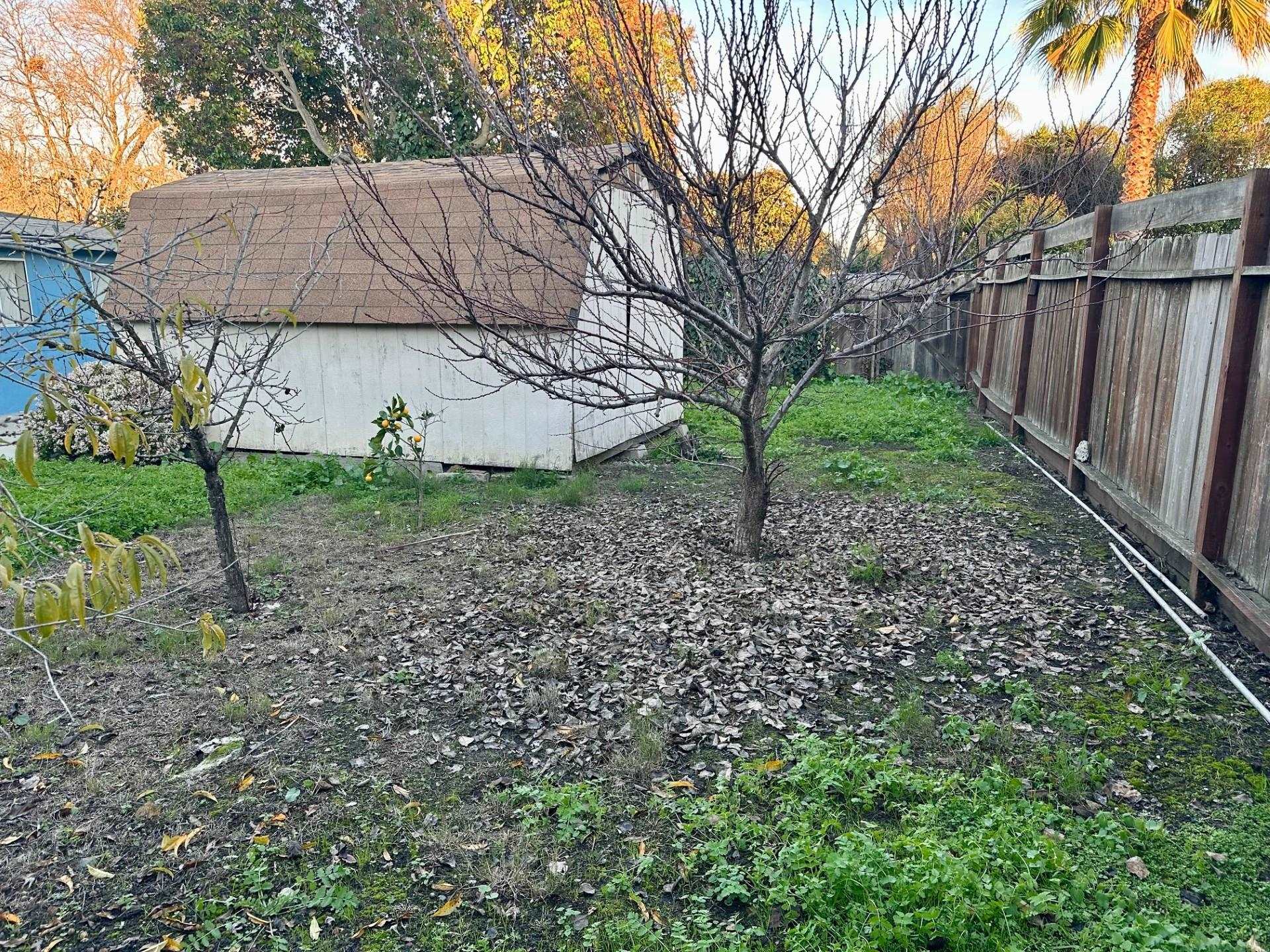 Detail Gallery Image 22 of 25 For 224 Ivy Dr, Menlo Park,  CA 94025 - 3 Beds | 2 Baths