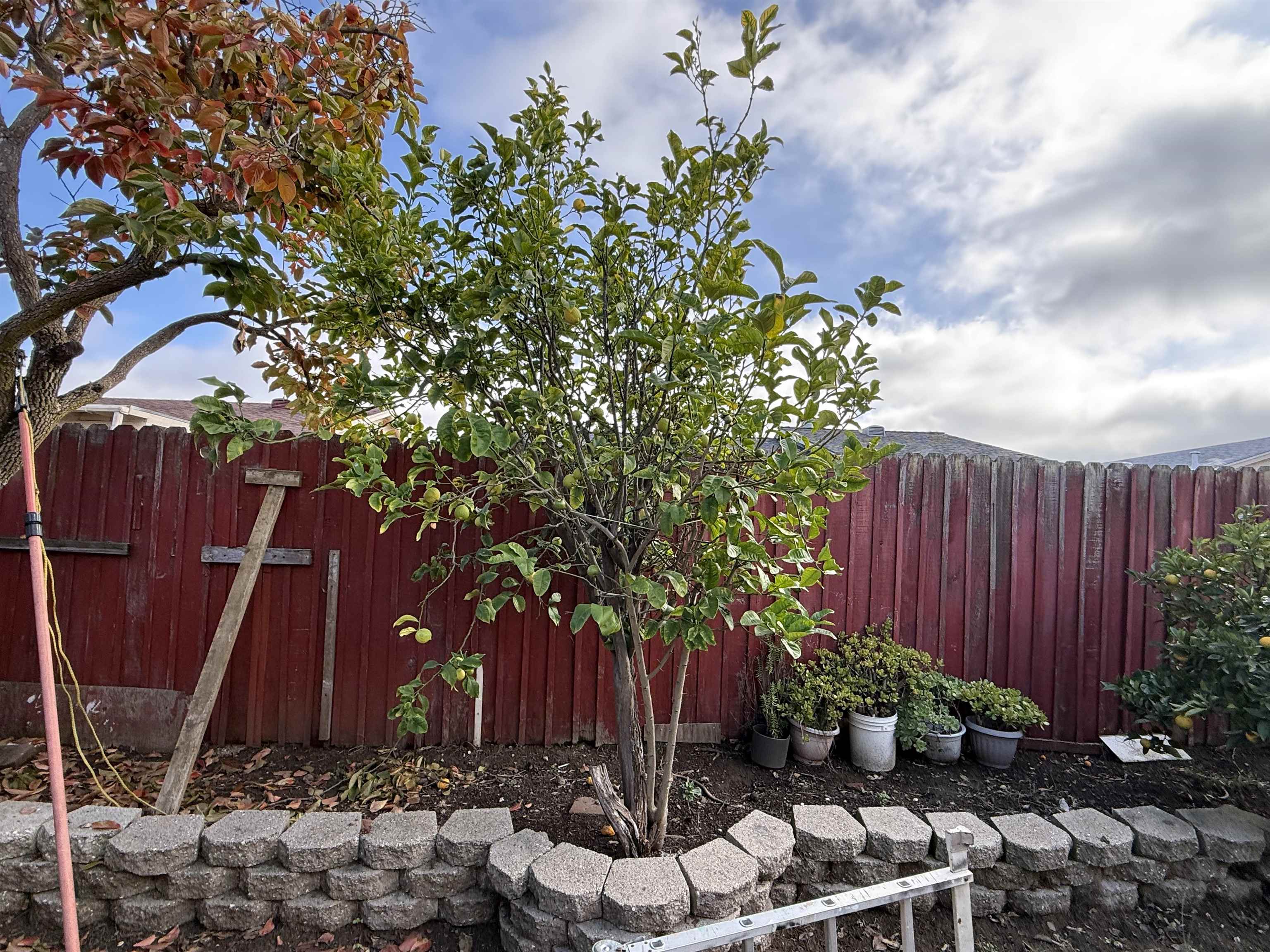 Detail Gallery Image 12 of 13 For 112 Diamond Springs Ct, Vallejo,  CA 94589 - 4 Beds | 2 Baths