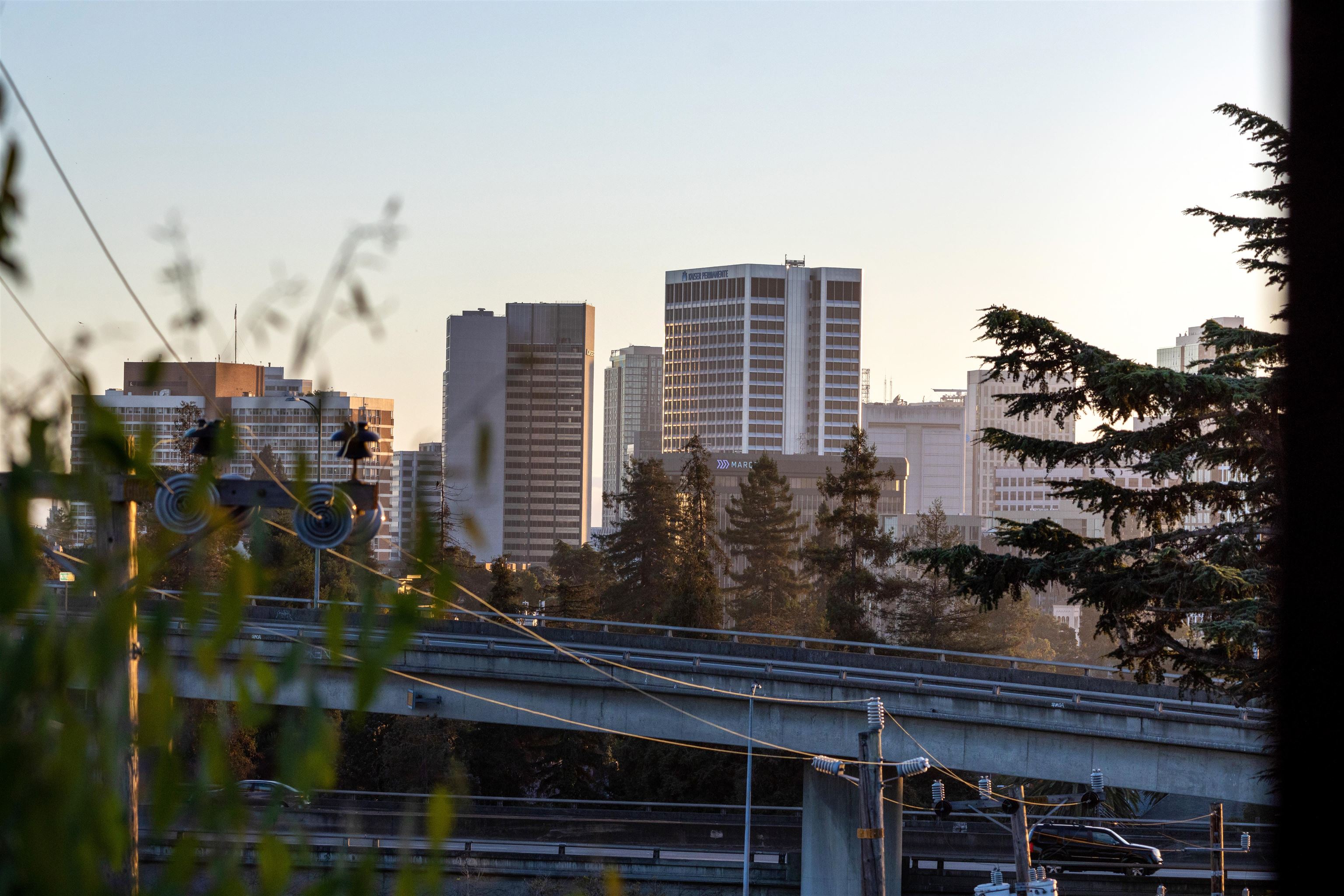 Photo #23: 41120309 Listing: Photo #23