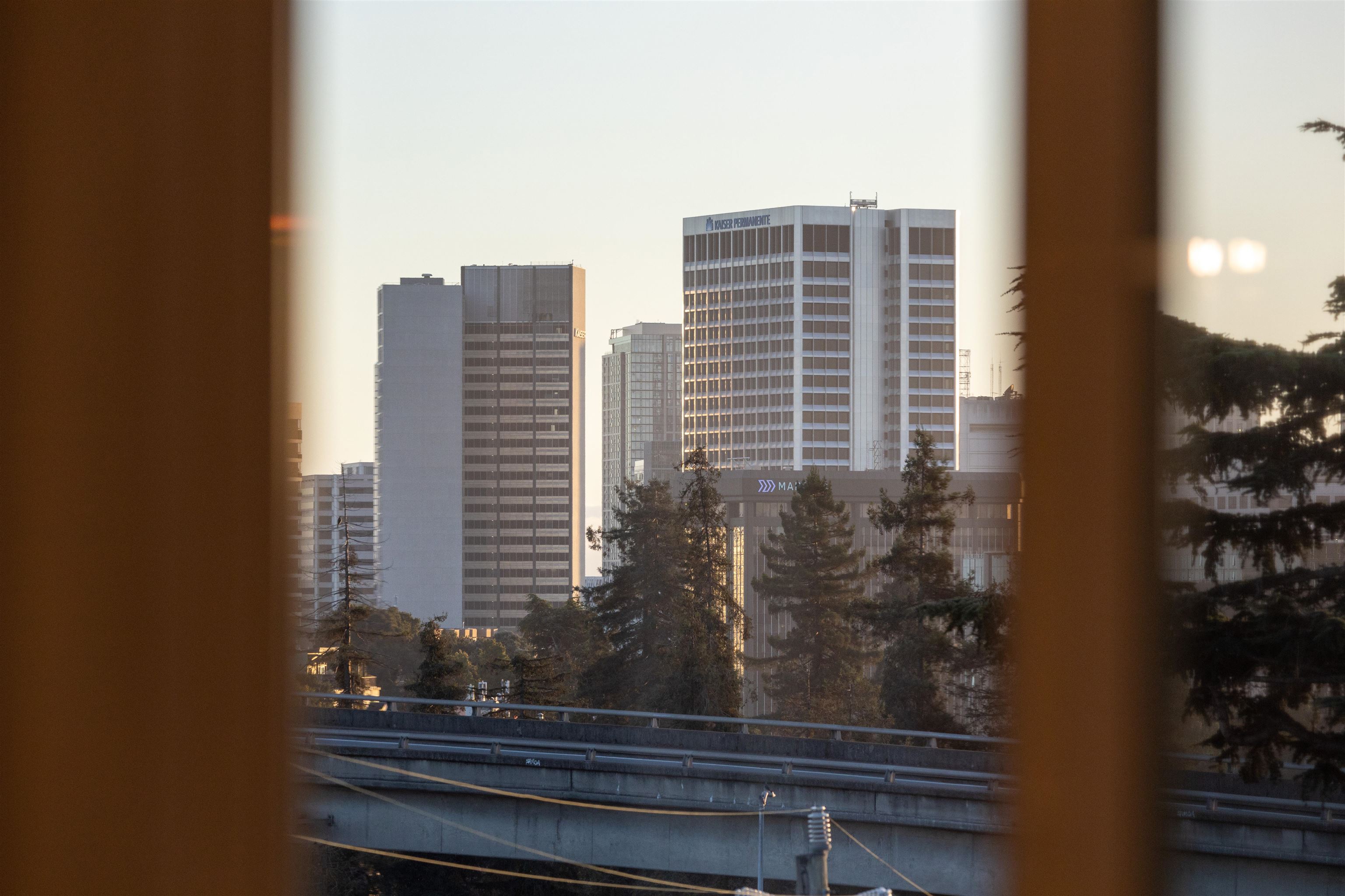 Photo #24: 41120309 Listing: Photo #24