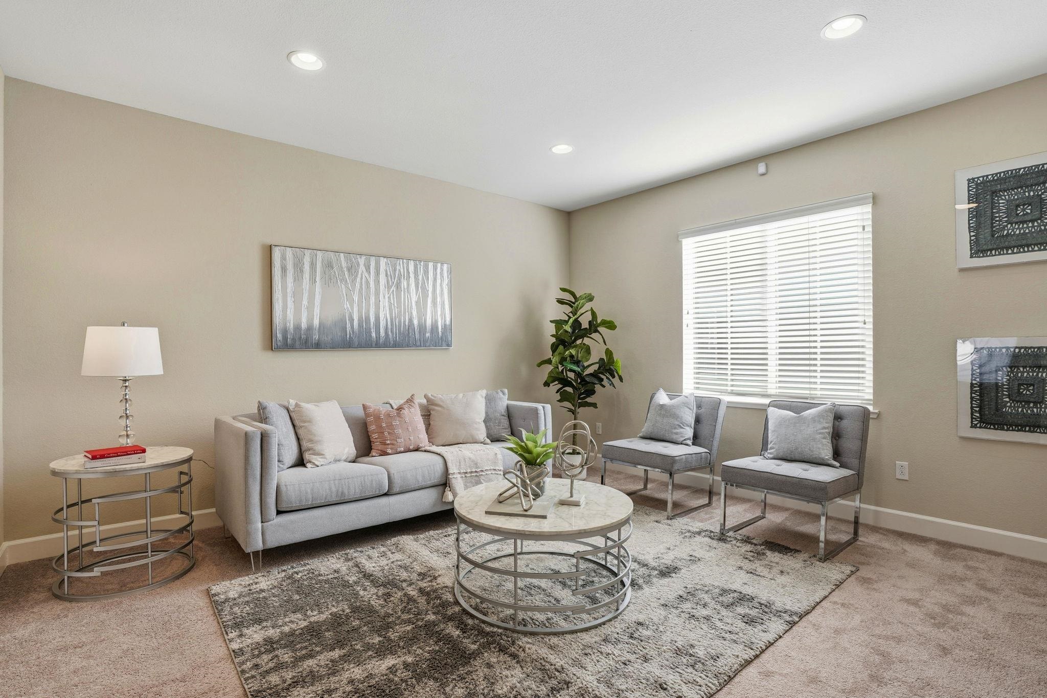 Detail Gallery Image 24 of 55 For 1110 S Vecindad St, Mountain House,  CA 95391 - 4 Beds | 3/1 Baths